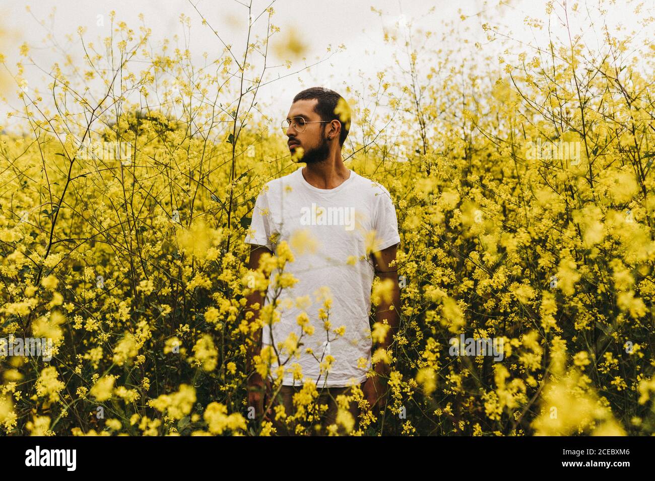 Bell'uomo in una T-shirt bianca che guarda lontano mentre si sta in mezzo bellissimi fiori gialli Foto Stock