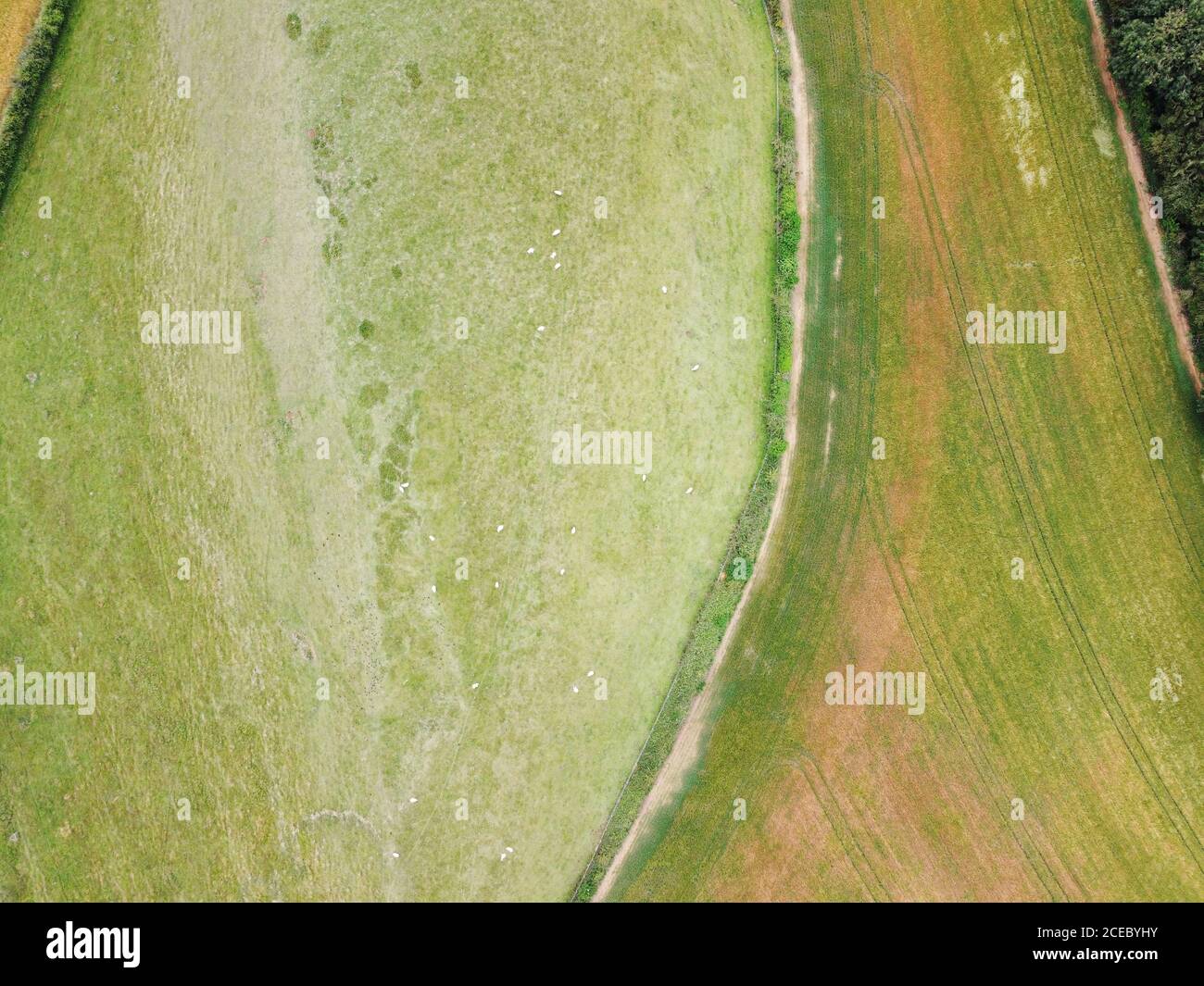 vista ad occhio di uccelli del terreno agricolo dall'alto guardando direttamente verso il basso Foto Stock