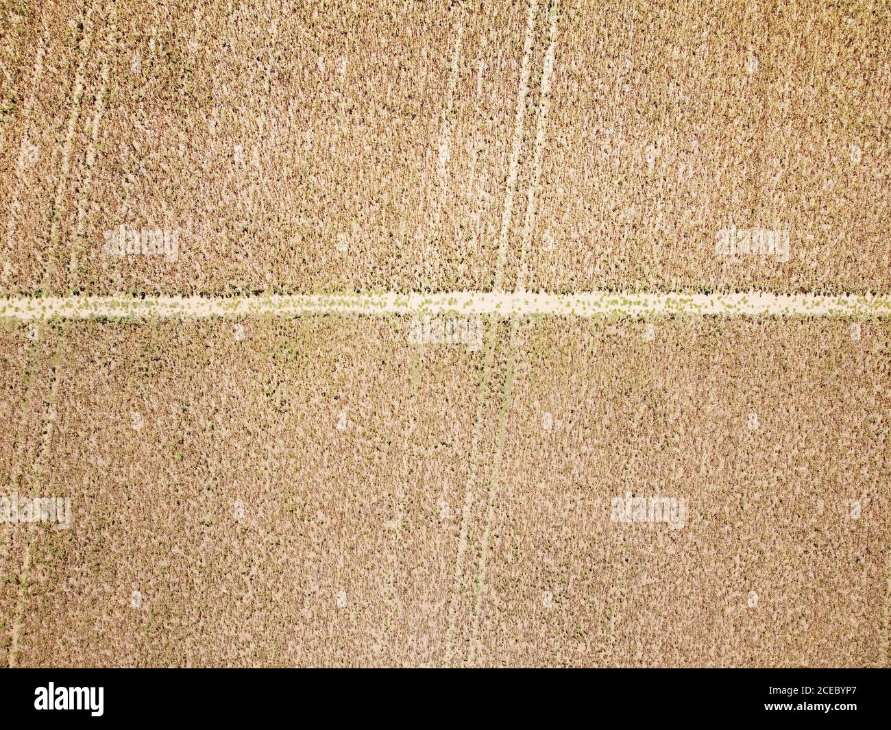 vista ad occhio di uccelli del terreno agricolo dall'alto guardando direttamente verso il basso Foto Stock