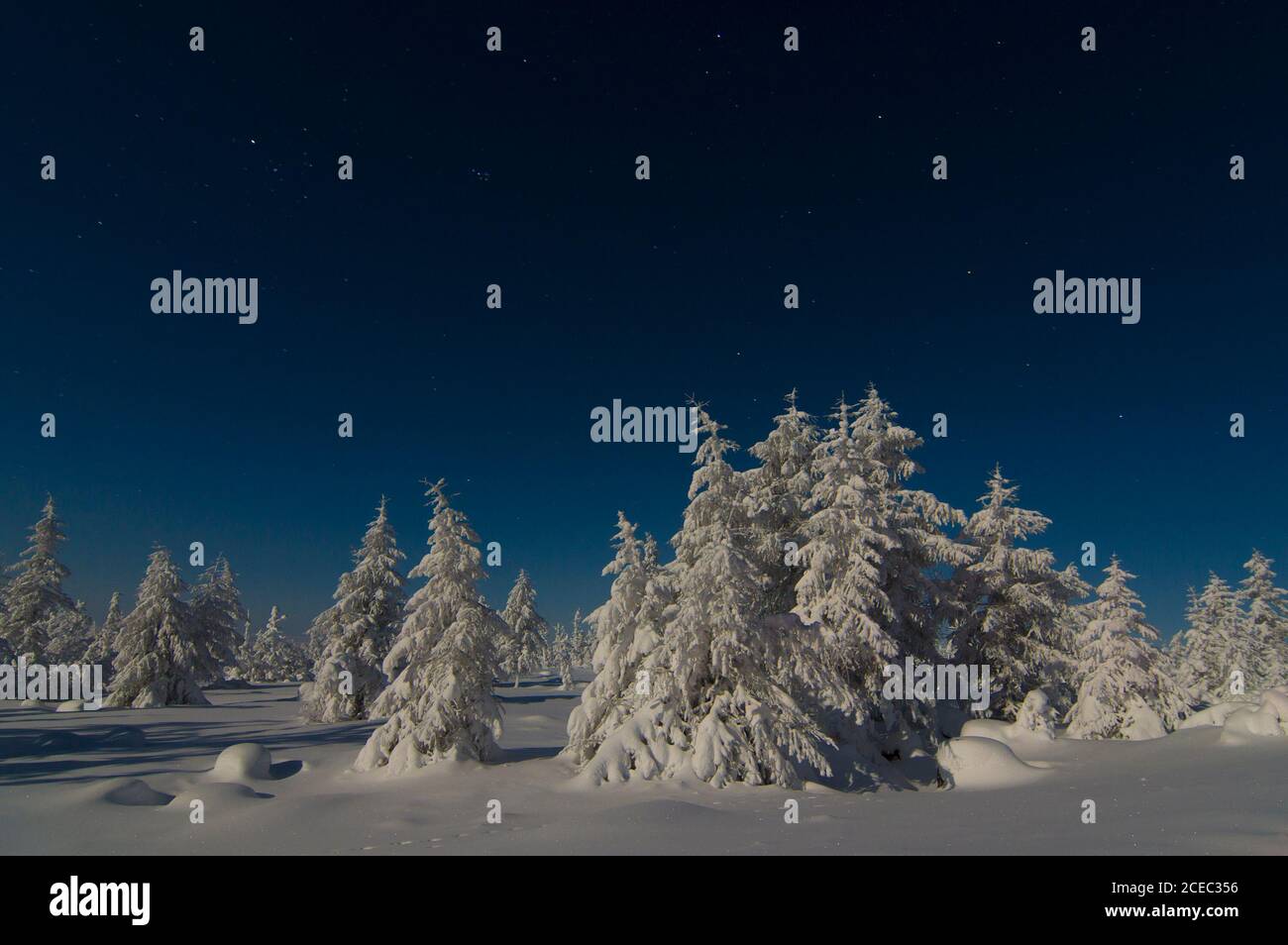 splendido paesaggio di fata invernale Foto Stock