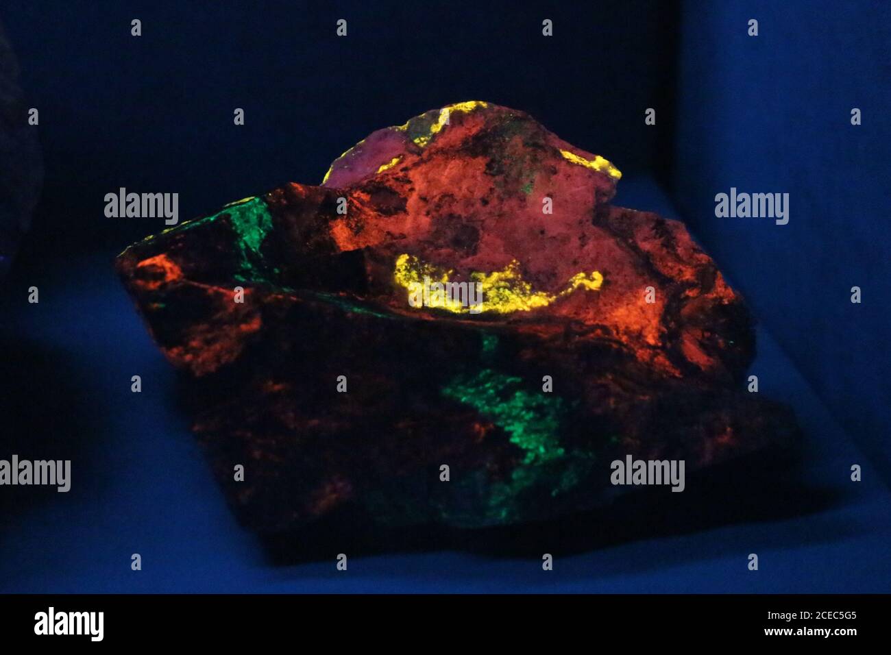 Stoccolma, Svezia - Marzo 19 2019: La vista della pietra willemite sotto la luce fluorescente nel Museo reale svedese di Storia Naturale il 19 2019 marzo Foto Stock