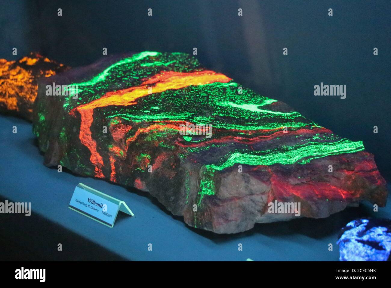 Stoccolma, Svezia - Marzo 19 2019: La vista della pietra willemite sotto la luce fluorescente nel Museo reale svedese di Storia Naturale il 19 2019 marzo Foto Stock