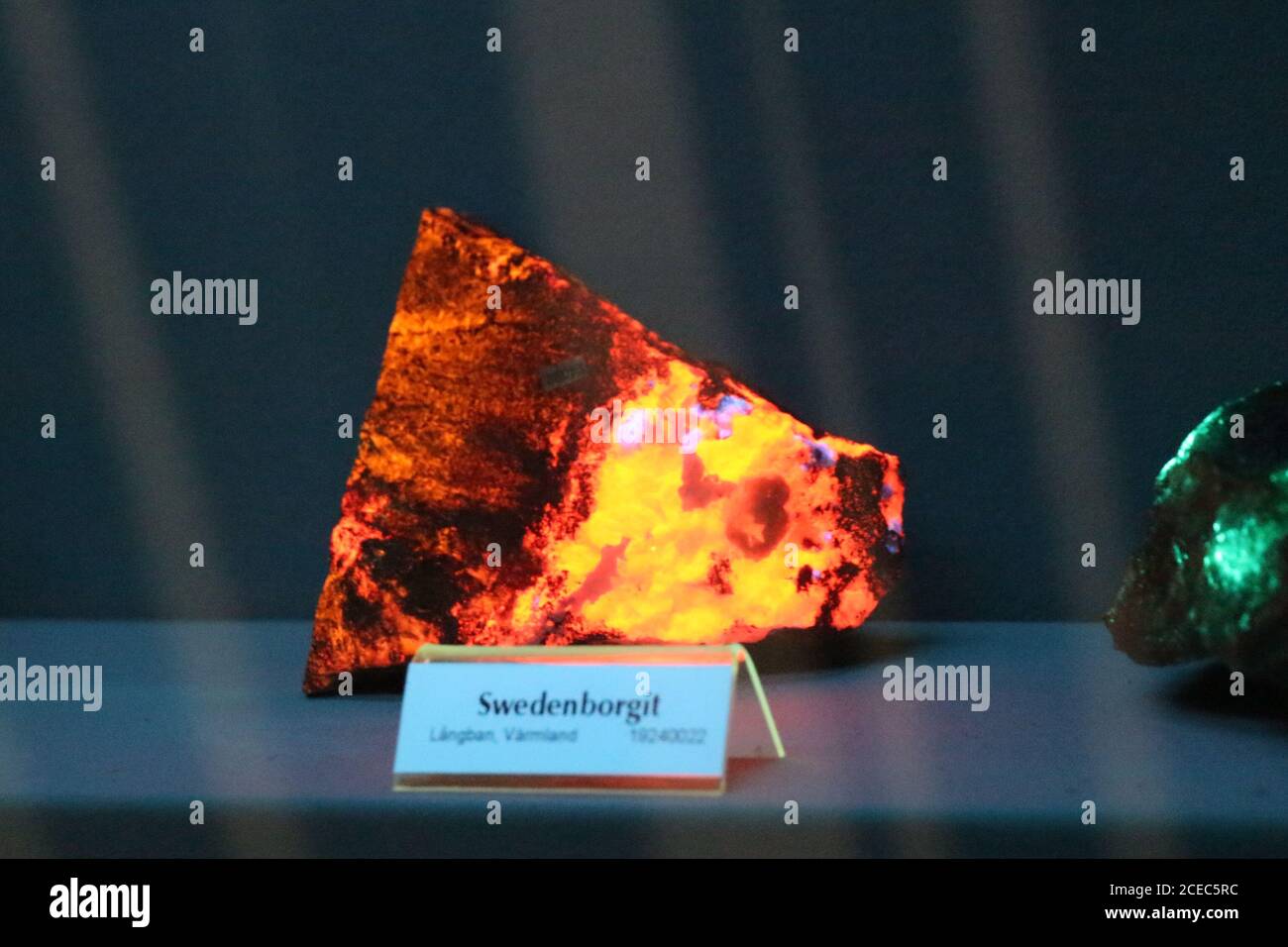 Stoccolma, Svezia - Marzo 19 2019: Il punto di vista del minerale sudboregite sotto la luce fluorescente nel Museo reale svedese di Storia Naturale il 1 marzo Foto Stock