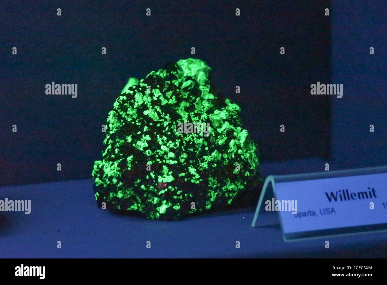 Stoccolma, Svezia - Marzo 19 2019: La vista della pietra willemite sotto la luce fluorescente nel Museo reale svedese di Storia Naturale il 19 2019 marzo Foto Stock