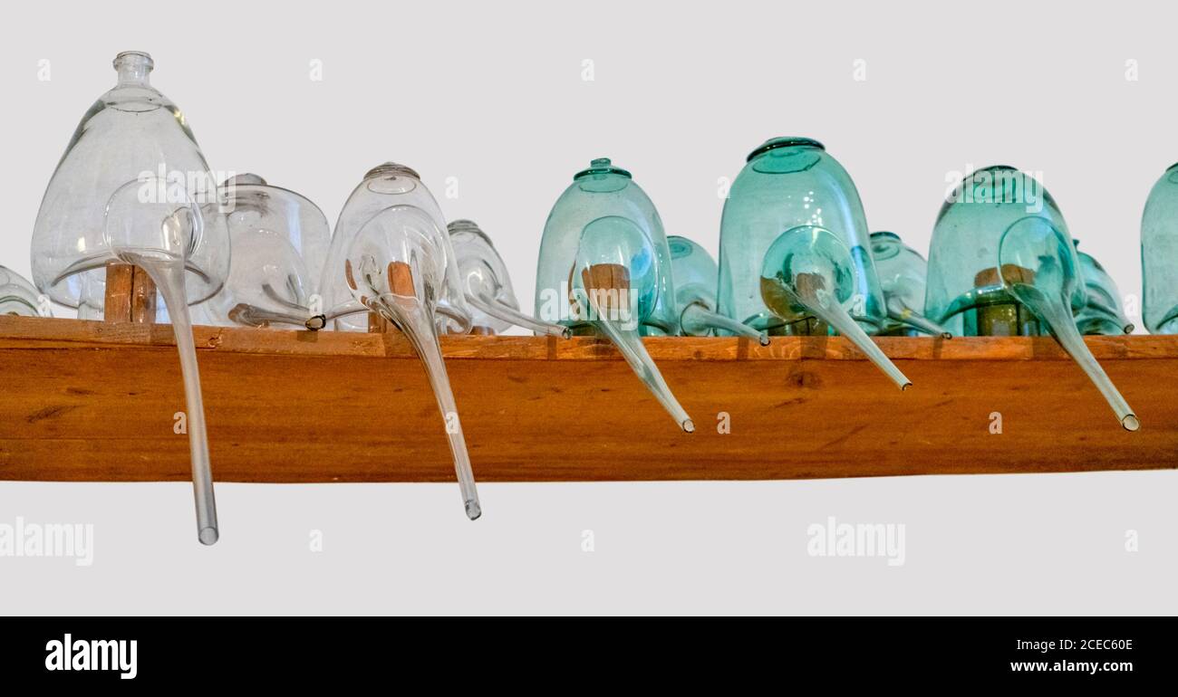 un sacco di storiche bottiglie di vetro ritorte su uno scaffale in retro grigio Foto Stock
