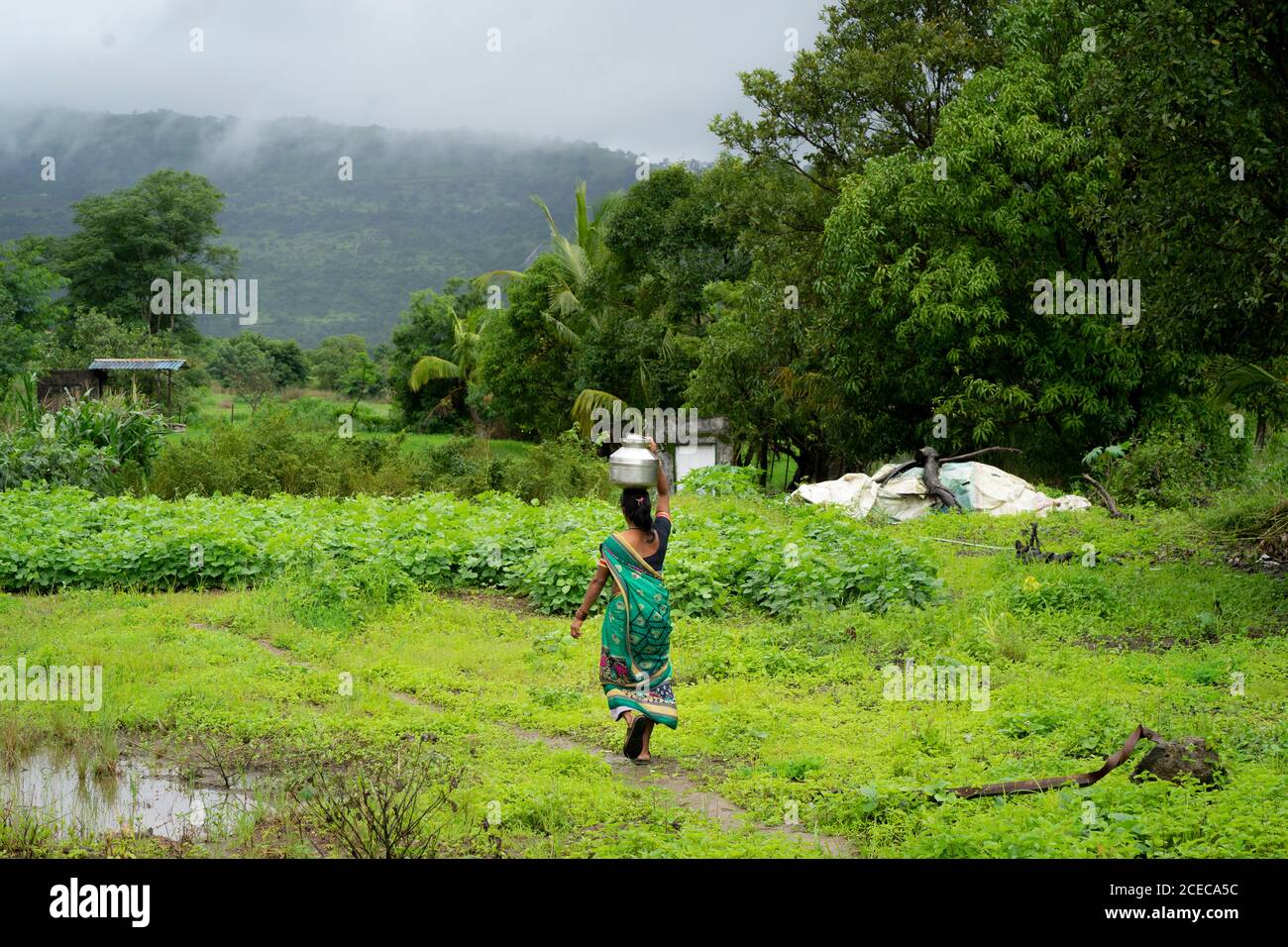 Una lady villager che cammina con una pentola d'acqua sulla testa con lo sfondo della montagna Sahyadri con le nuvole galleggianti. Foto Stock