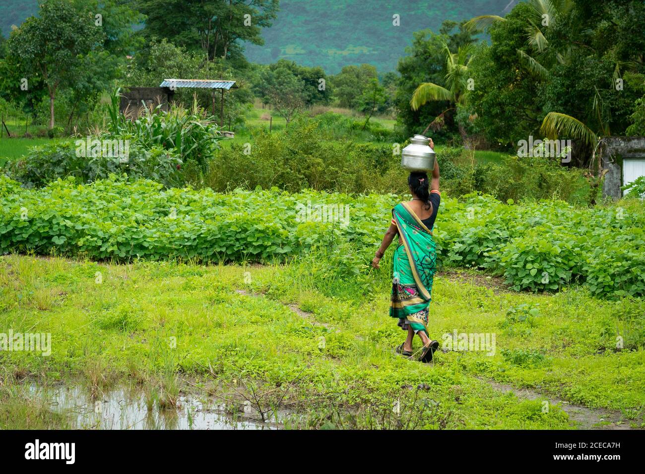 Una lady villager che cammina con una pentola d'acqua sulla testa con lo sfondo della montagna Sahyadri con le nuvole galleggianti. Foto Stock