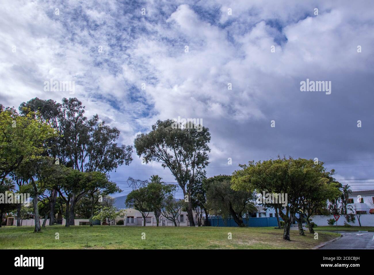 Città del Capo, Sud Africa - una zona di polmone verde nel sobborgo di Edgemead nel nord della città immagine in formato orizzontale Foto Stock