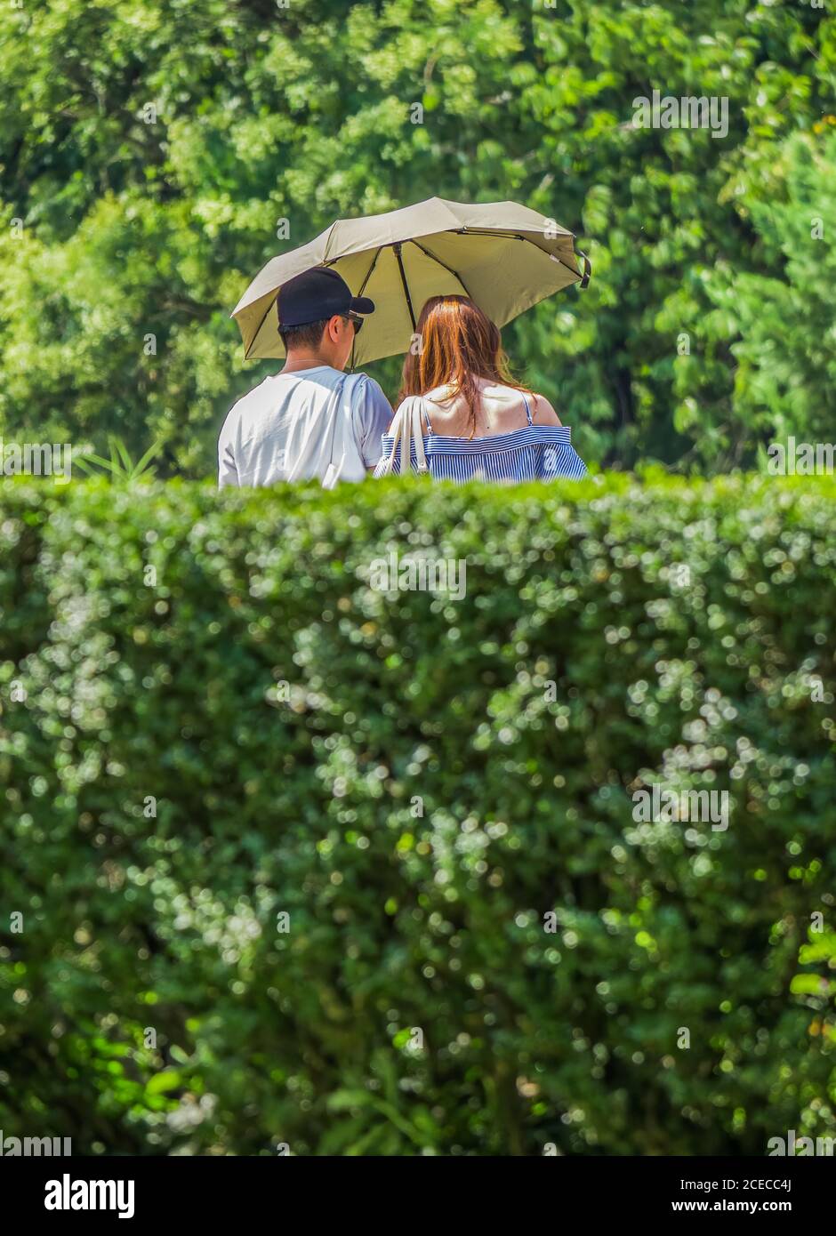 Giovane coppia che cammina nel parco e ha un ombrello per proteggere dal sole luminoso. Foto Stock