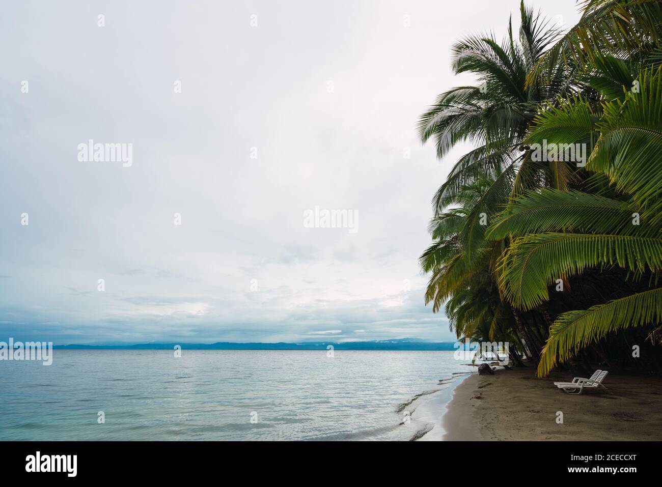 Vista su palme verdi lussureggianti sulla spiaggia sabbiosa dell'isola di Bocas del Toro e sulle acque turchesi e calme, Pamana Foto Stock