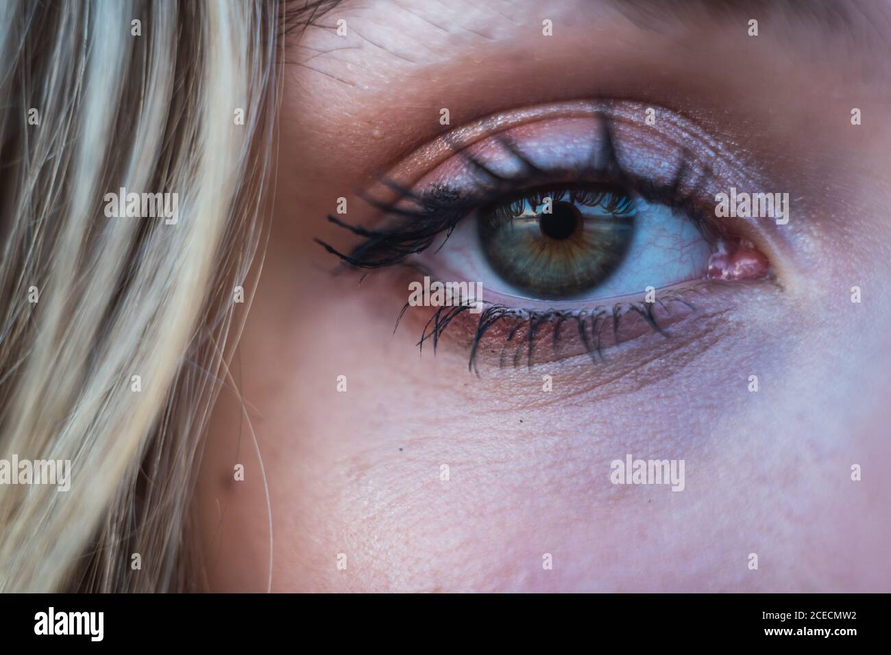 Occhio della donna bionda Foto Stock