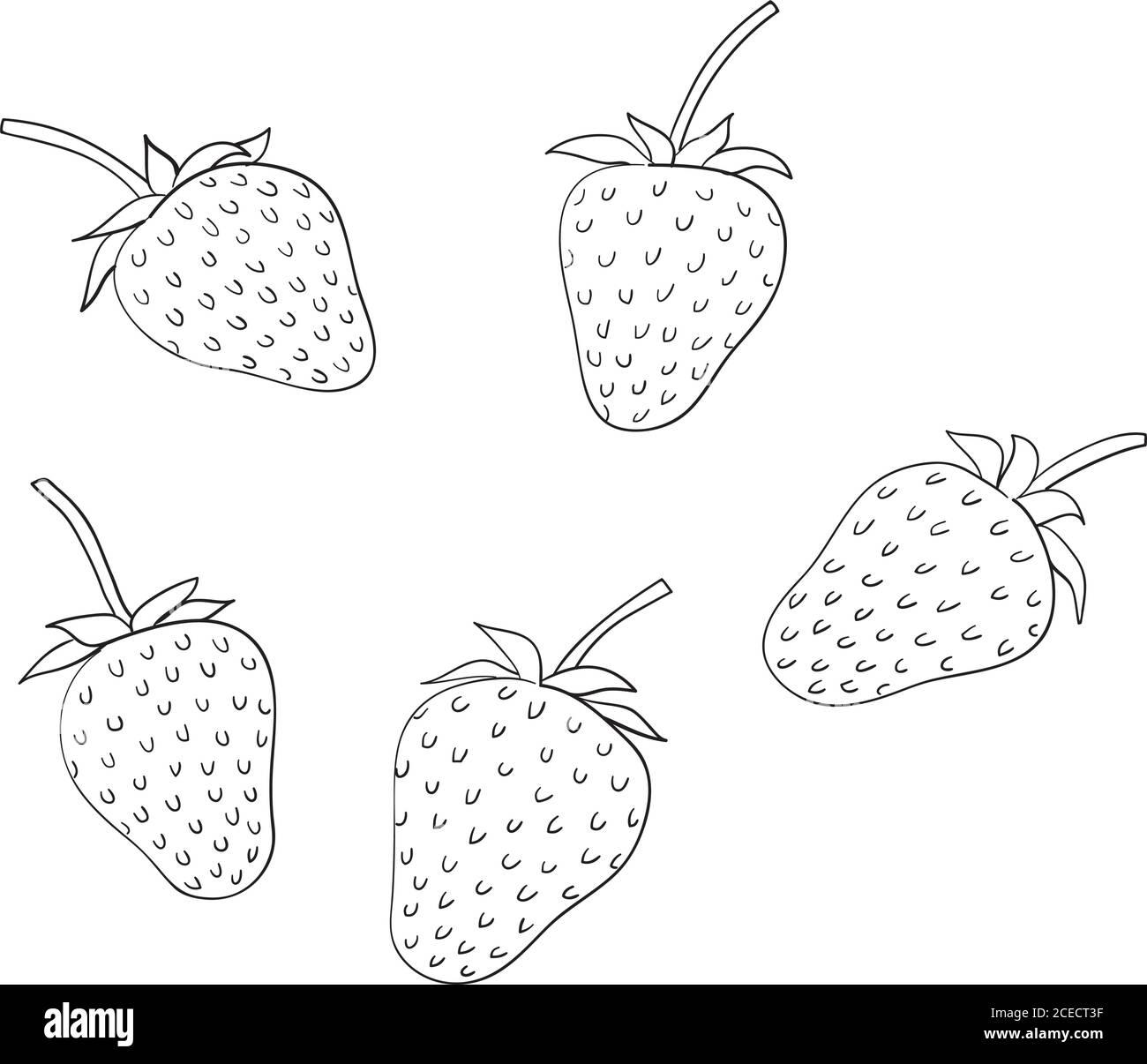 illustrazione vettoriale con cinque fragole Illustrazione Vettoriale