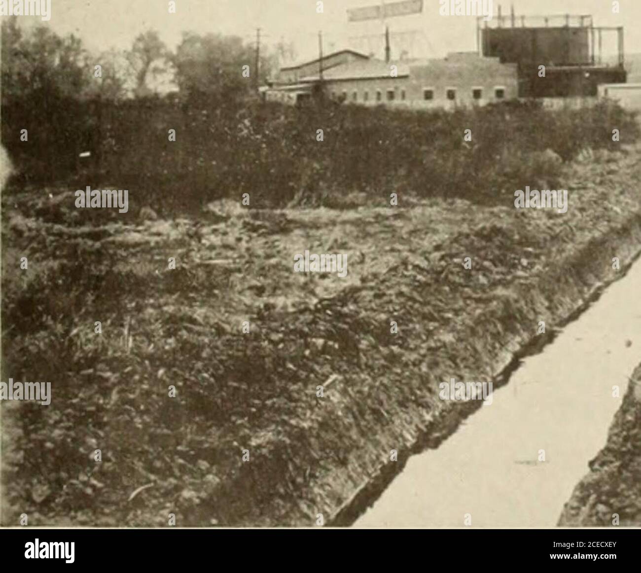 . Opuscolo della guida. Fig. 17. MOSQUITO-RIPRODUTTORE NUOVO JERSEY MARSHLANDBEFORE DRENAGGIO. Foto Stock