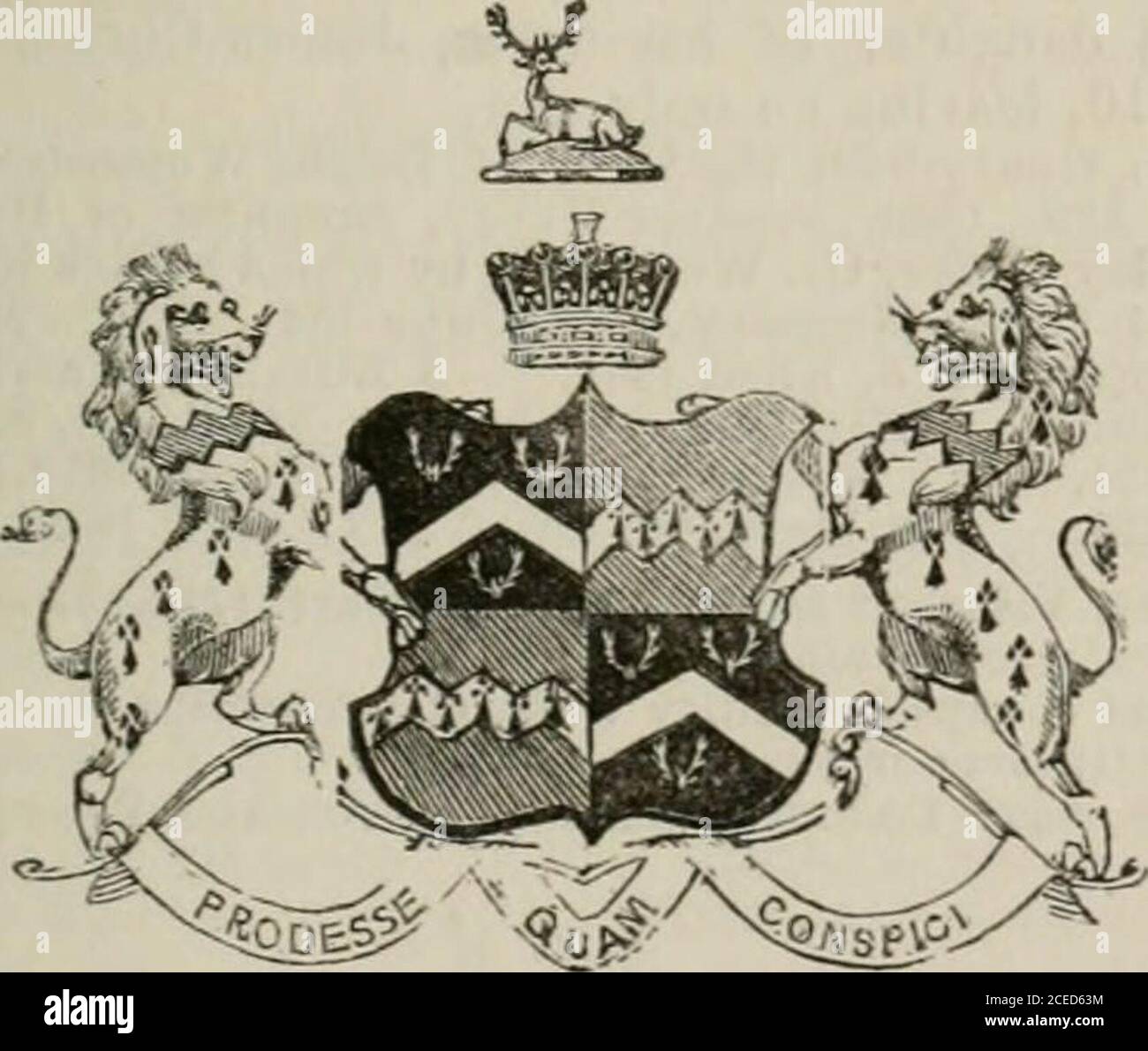 . La parentela dell'Impero britannico come attualmente esistente : organizzato e stampato dalle comunicazioni personali della nobiltà. Il compianto Ross Mahon, Esq., di Lady Anne Browne, figlia del 1Earl]; Sir Ross, d. nell'agosto 1835, avendo m.2ndly, Diana, figlia di Edward Baber, Esq., e 3rdly.-vedere Fitz-Gerald. 5 Lady Charlotte, m. John Mahon, Esq., che d. 23 ottobre 1834. [Numero del compianto onnello ArtliurBrowne, 2° figlio di Giovanni, 1° conte.] 1 Giovanni, n.. 1756, rf. 24 ago, 18U); havingm. 1784, Rosa-Mary, figlia dell'AmmiralSir Richard Hughes, Bart., con il quale ha fatto la sua parte, Arthur Browne, Esq. 2 Foto Stock