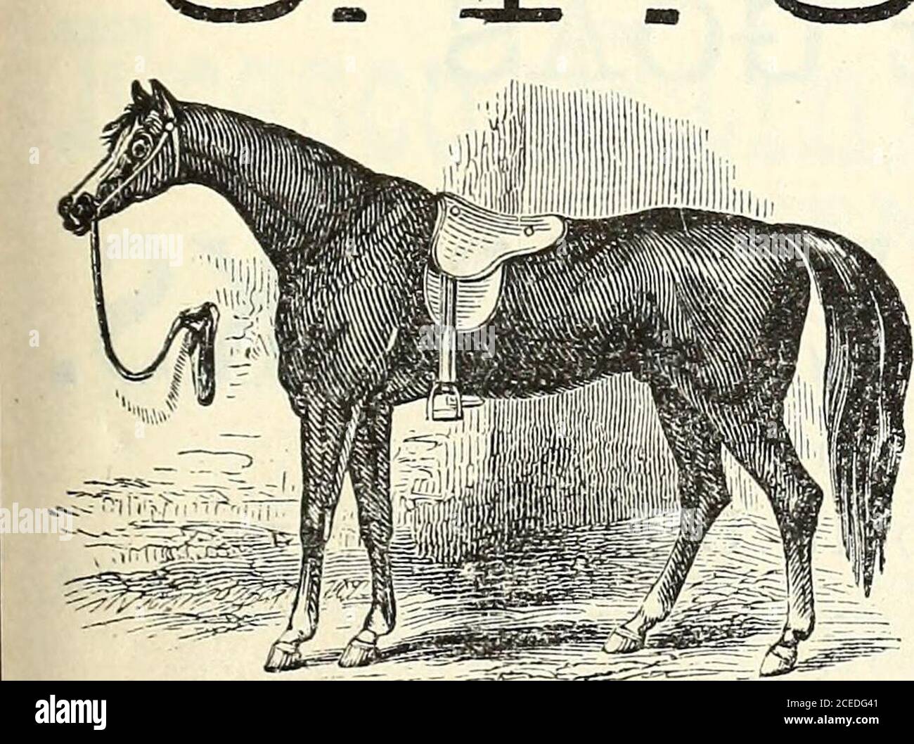 . Polk's Indianapolis (Marion County, Ind.) directory della città, 1878. E. TH. HOLLER, OELLAKS & OFFICE, MOZAET HALL BUILDING, NO. 35 SOUTH DELAWARE STREET, INDIANAPOLIS, IND. ALL'INGROSSO J^ISTID BETAIL - RIVENDITORE A MADISON, CLEVELAND E CINCINNATI ALE E PORTER SCHMIDTS LAGER E LIEBEE & CO.S LAGER SEMPRE A PORTATA DI MANO E IMBOTTIGLIATI ESPRESSAMENTE PER USO FAMILIARE. Ordini richiesti e consegnati gratuitamente a qualsiasi parte della città. O. IP. (DOlsTJ^^TTD,. Foto Stock