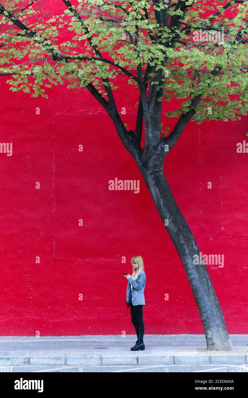 Signora in stile business stare vicino albero e navigare spazio di copia della periferica Foto Stock