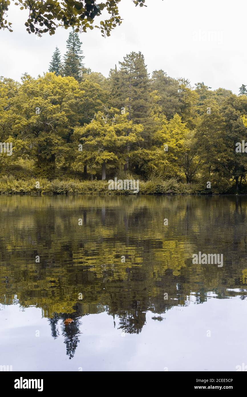 Un'immagine del lago principale ai Giardini di Kew In Inghilterra Foto Stock