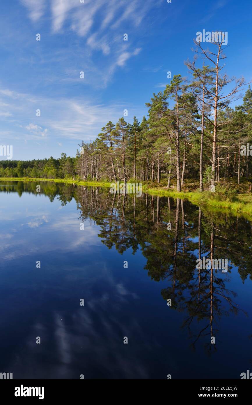 Scozia, Scottish Highlands, Cairngorms National Park. La foresta nativa si riflette sulle acque ancora losche dei Lochans di Uath nella Foresta di Inshriach nea Foto Stock