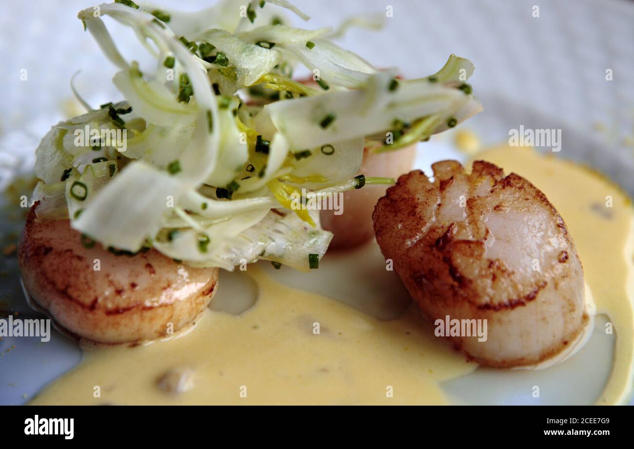 Vongole su un piatto bianco con salsa e guarnire Foto Stock