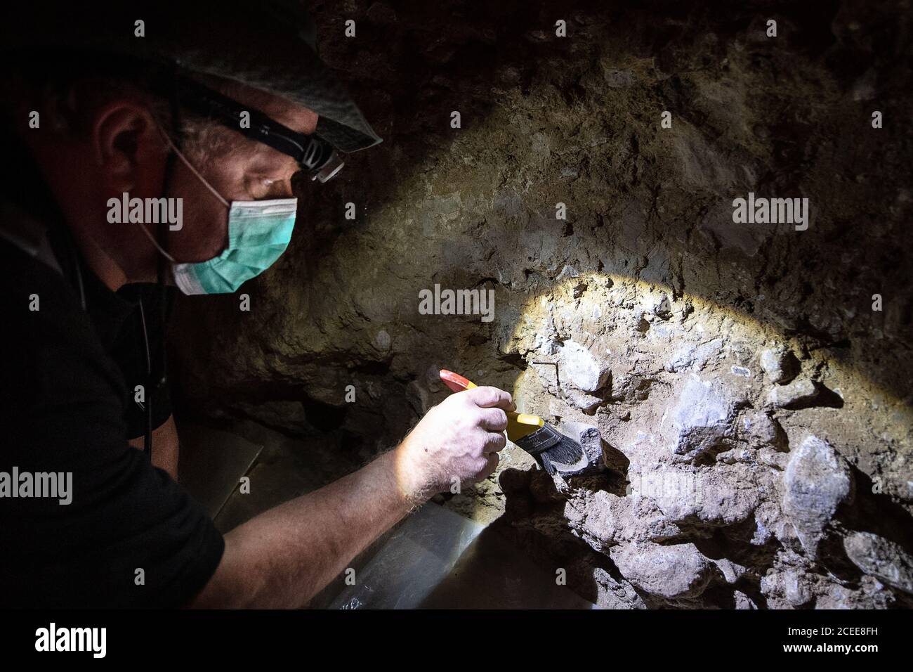 Scharzfeld, Germania. 01 settembre 2020. Klaus Meyer, speleologo volontario, scopre un osso dell'orso durante gli scavi alla Grotta Unicorn per studiare l'uomo Neanderthal. La Grotta Unicorn è considerata un luogo chiave per la ricerca Neanderthal nel nord. L'obiettivo della ricerca di quest'anno è di aprire ulteriormente l'area di ingresso alla grotta. Credit: Swen Pförtner/dpa/Alamy Live News Foto Stock