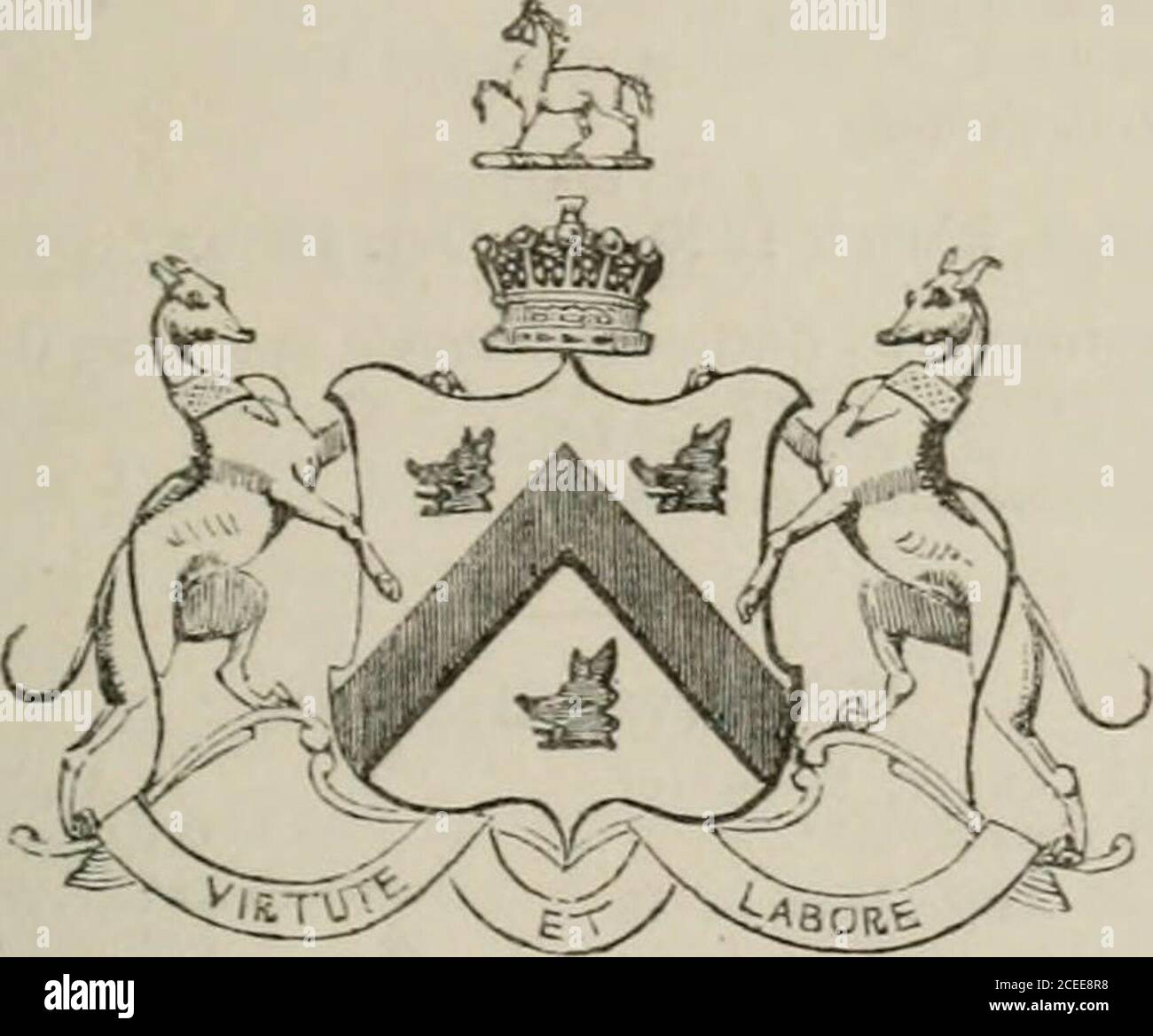 . Il peerage dell'impero britannico come attualmente esistente: Organizzato e stampato dalle comunicazioni personali della nobiltà. Ennox, /;. 19 novembre 1813, m. 24 ottobre 183:), Eliza, figlia e erede del defunto Thomas-Lindsey Holland, Esq. E hasissue, 194 i DUN 1 Lindscy-Holland, h. -11 agosto 1830. 2 Ellen-Caroline, h. II luglio 1837.3 Eliza-Emily, n. U Luglio 1838. 1 RoxfiliKla-Kmiiin-Juiir, n. 3 UEO. 1840, il. -20 settembre »i.. 5 Cliailc s-LONOX. b. 5 ottobre 1841. (io UN figlio, b. 3 luglio 1843. 7 UN figlio, IR, febbraio ISIO. La sua signoria è l'unico figlio di James Butler, Esq., di Cragnagowra, Co. Clar Foto Stock