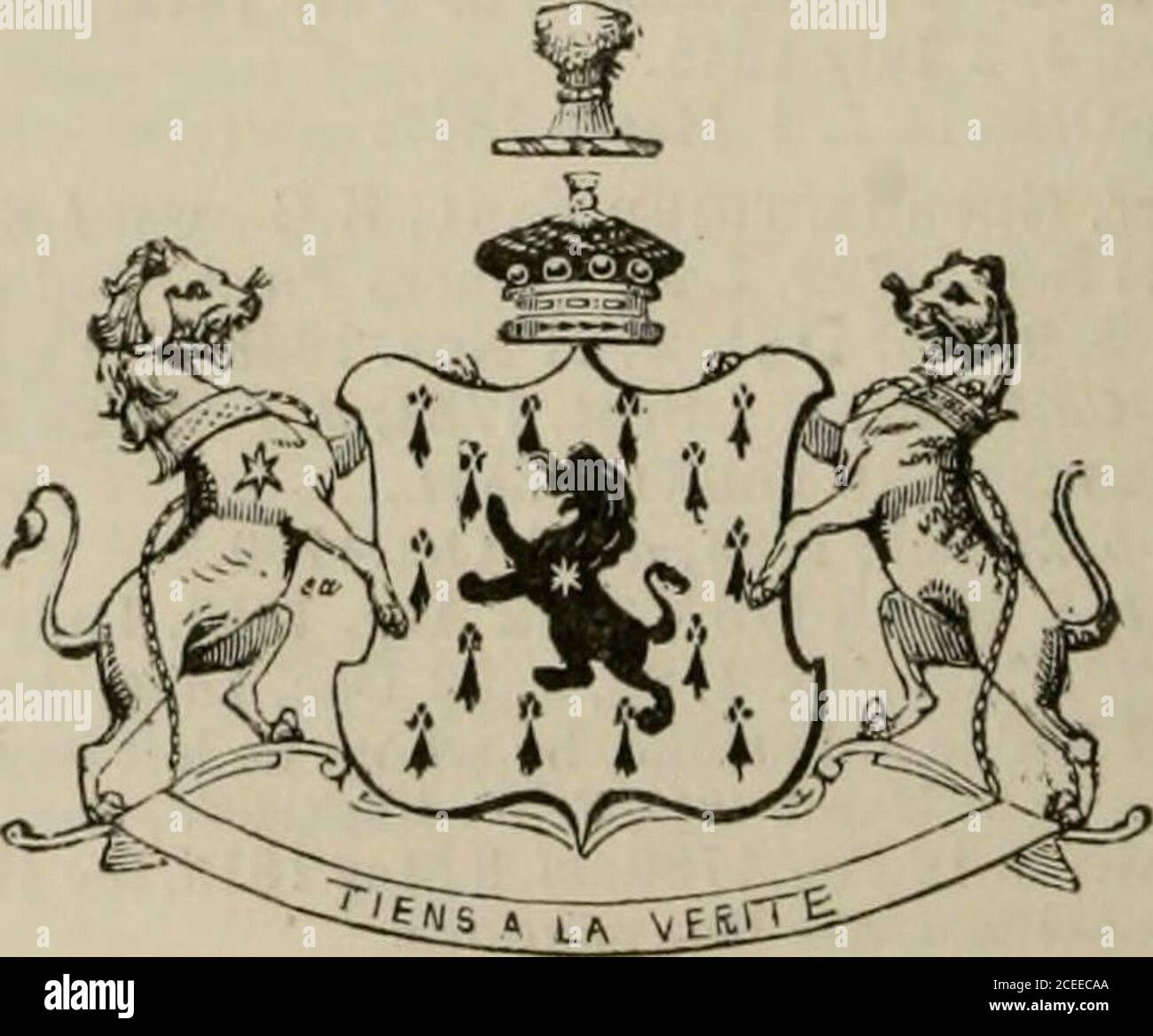 . Il peerage dell'impero britannico come attualmente esistente: Organizzato e stampato dalle comunicazioni personali della nobiltà. Vettore di Ashstead, Surrey, b. 29 luglio 1802. 4 Enrico, Rettore di East la-vnt, Sussex, b. 29 giugno 1803, m. 5 maggio 1830, Elizabeth-Louisa, figlia del defunto AdmiralStair Douglas, vedi Queensberrv, da chi m. 28 ottobre 1840, Hasissue, 1 Enrico Edoardo, n. 22 maggio 1831. 2 Augusto-George, n. 20 gennaio 183.5. 3 William-Douglas, n. 13 dic.1836. 4 Honora-Anne-Charlotte, n. 29 maggio 1838. 5 Charles-Egerton, n. 22 maggio 1840. 5 Honoi-a-Augusta, n. 1 maggio 1816. 6 L Foto Stock