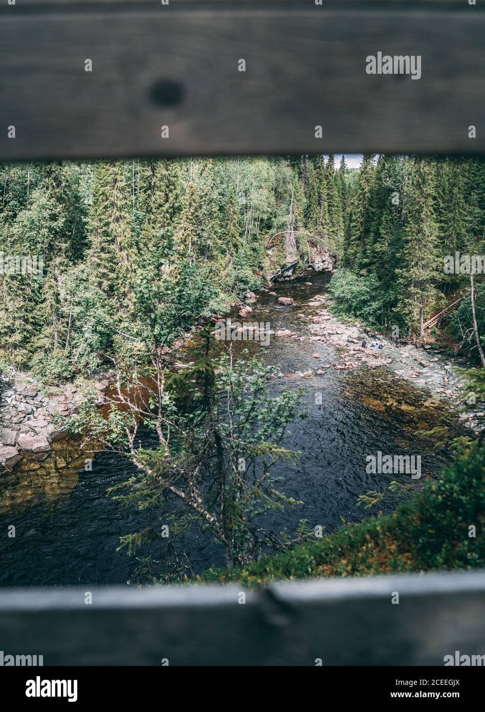L'acqua cade dai boschi profondi del mezzo di Svezia Foto Stock