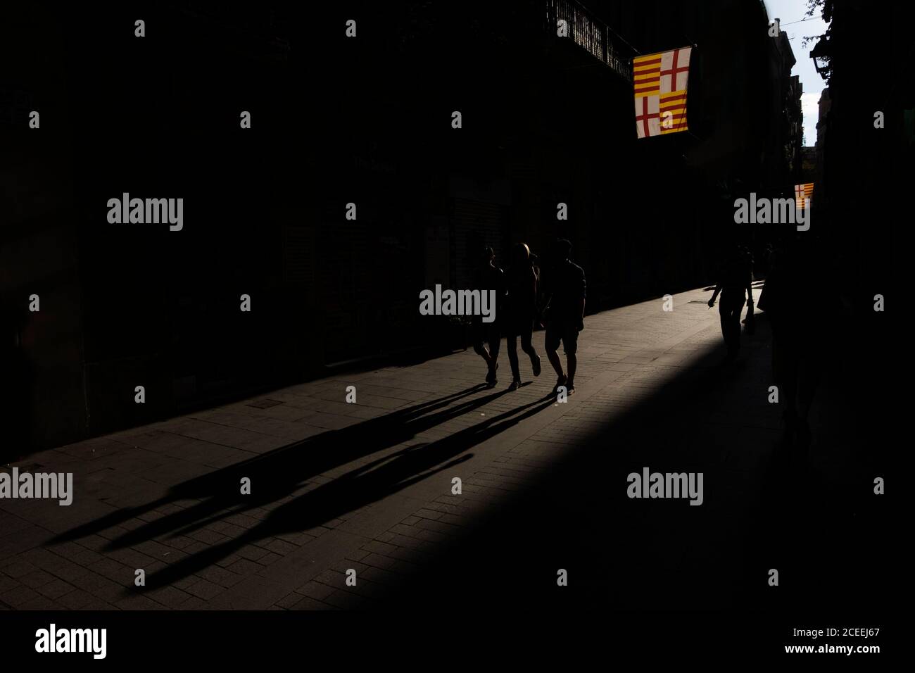 Persone che camminano alla luce del sole facendo lunghe ombre. Foto Stock