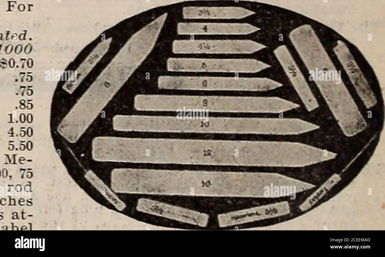 . Capovolgere una nuova foglia e essere convinto che W.W. I semi di Rawson & Co. Sono veri per nome / W.W. Rawson & Co. ETICHETTE. Legno. Per piante o arbusti. Semplice. Painted.TOO lOi 1000 3!2-in. €0.10 4 4% 5 zinco .15.15.15.15.40.50 €0.50.60.65.70.853.504.50 Giardino. Dium size, per 100, 75cts. Con filo galvanizzato, lungo 18 incheslong, a cui è impresso un labelcomplete di zinco,perl00,S4.50.. Etichette pentola.semplice. 100 1000 painted. €0.15 €0.60 .15 1.00.20 1.50Bound with extra Tree. 3l2" 3V2 filo di ferro 3V2 rame PLAXT TLBS. Cerchi in ferro Cypressheavy. Maniglie di discesa verniciate di verde.N. Pollici. Ciascuno. XO- pollici. Ciascuno.13 xl Foto Stock