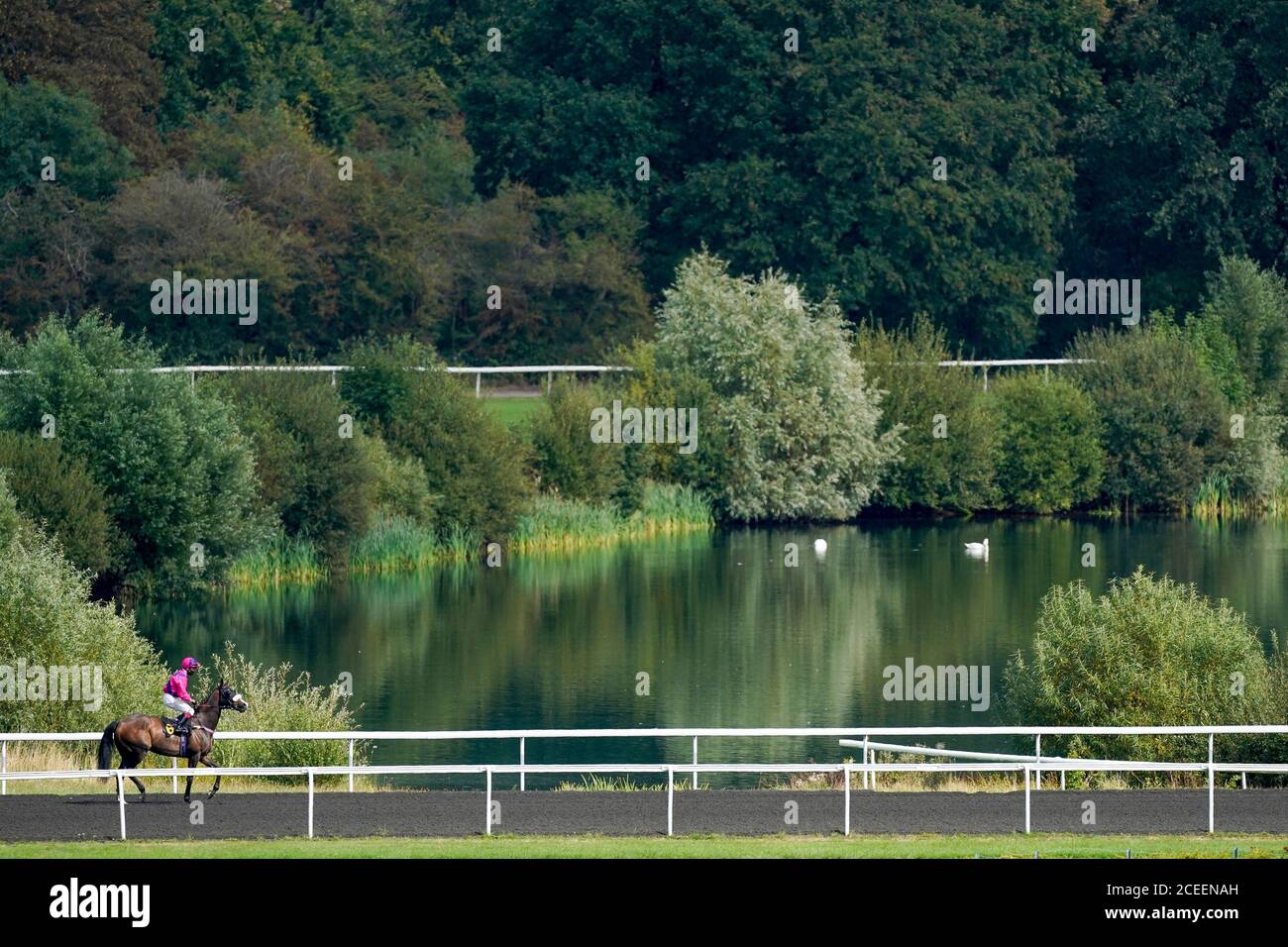 Oisin Murphy a cavallo del re Crimson che si sta per iniziare al Kempton Park Racecourse. Foto Stock