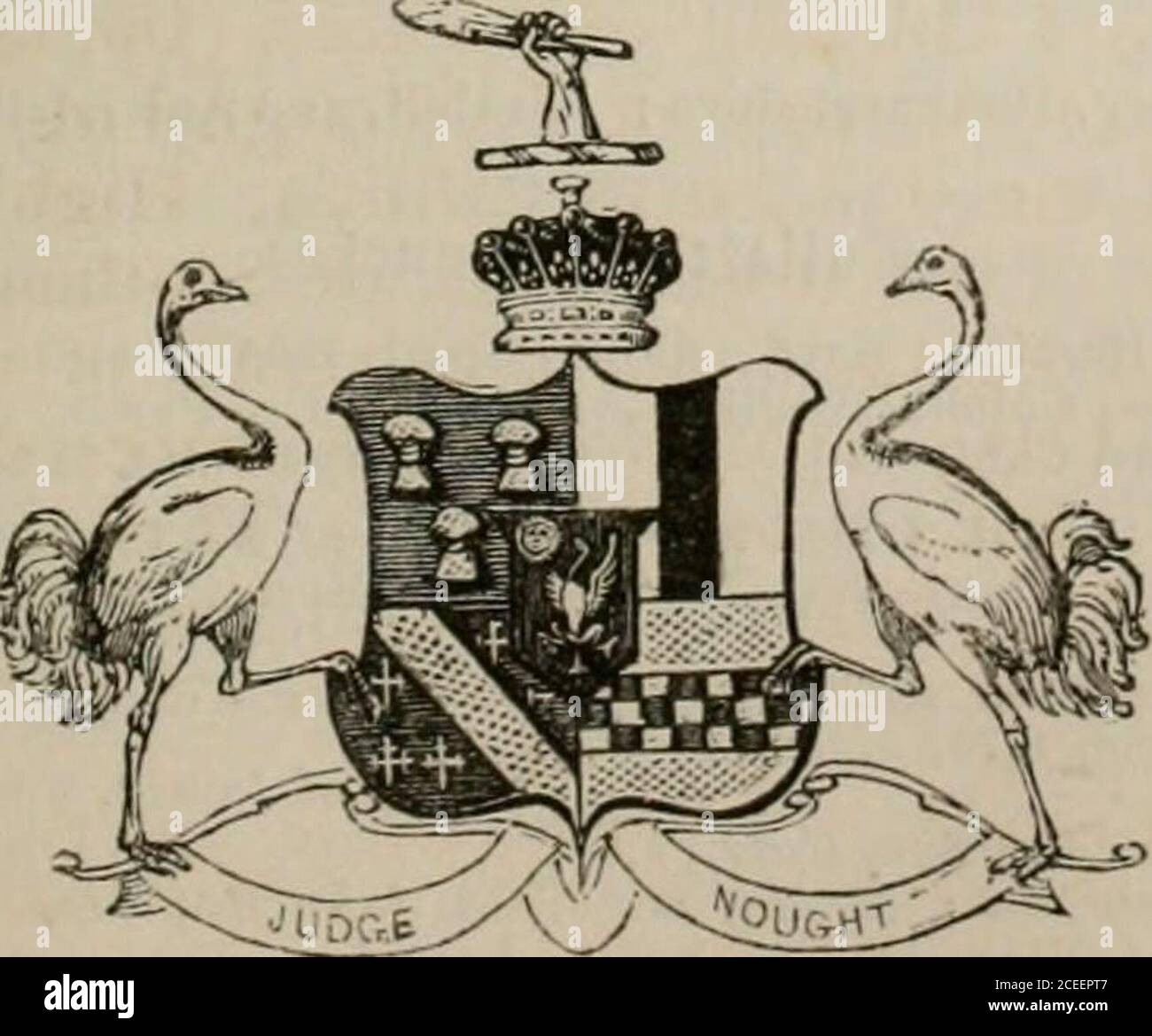 . Il peerage dell'impero britannico come attualmente esistente: Organizzato e stampato dalle comunicazioni personali della nobiltà. ut.-Colouel Frede-rick Clin ton.-iSee Newcastle. 3 on. June-Ciiroline, b. 2 agosto 1809, rf. 16 giugno 1846. 4 on. Caroline-Georgiana, n. 1811, m. 5 marzo 1836, Georo-e-VilliainHope, Esq., M.P.-.yte Hopetoun. 7 Signora Harriet, n. 1 dic. 1780, d. 18 aprile 1833, tarda Marchesa di Lothian. Creazioni.-Barone Scott di Buccleuch 1606, Conte di Buccleuch e Barone Scott di Whit-chester ed Eskdale 1619, Duca di Buccleuch e Conte di Dalkeith 1663, Duca di Queens-berry, Marq Foto Stock