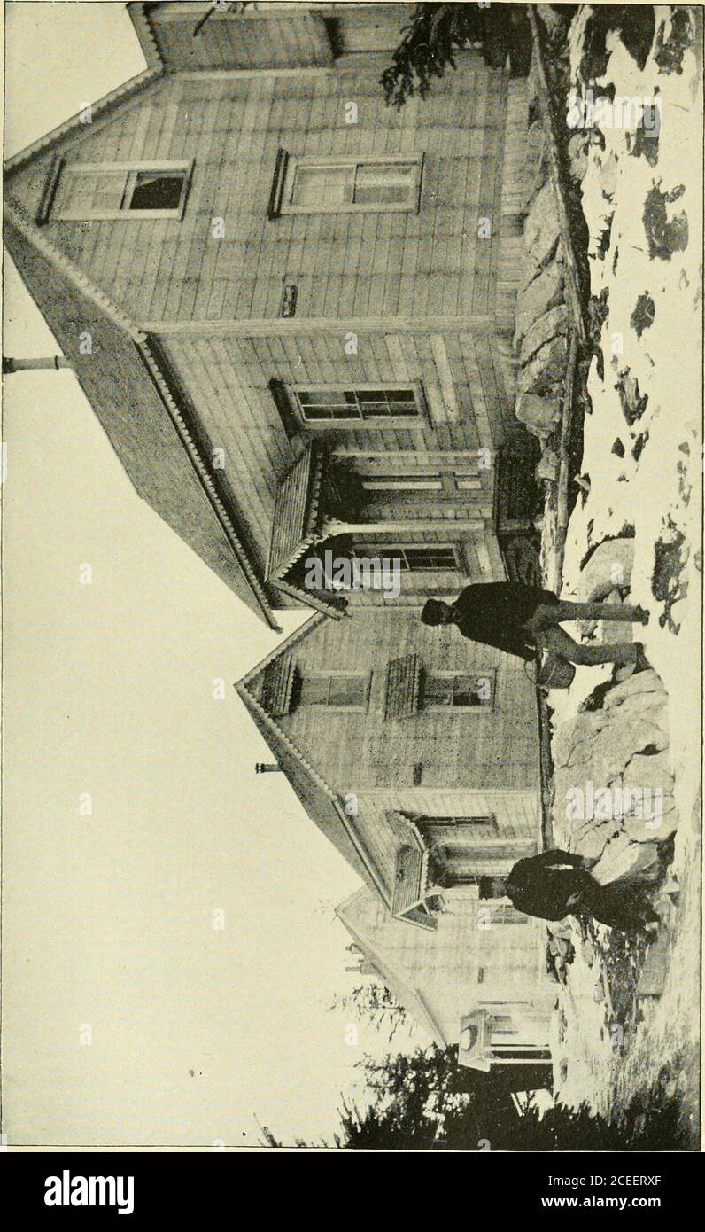 Pesca Delle Foche E Del Salmone E Risorse Generali Dell Alaska Vendere I Loro Cervi E