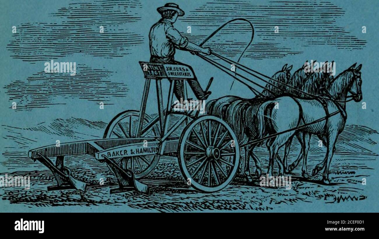 . La directory di San Francisco per l'anno ... WM. Sherman, L. Sachs, James DeFremery, J. G. Bray, David STEM, D. q. Mulini.I. Friedlander, Moses Heller, H. M. Newhall, G. Lawton, Myles D. Sweeny, Chas. Mayne, E. Goldstein, J. O. Earl, Lloyd Tevis, Thos. Selby, Adam Grant, Alpheus Bull, S. M. Wilson, D. J. Oliver, W. Scholle, Thos. Marrone, C. Peters, Oliver Eldridge, J. B. Roberts.J. C Wilmerding, P. L. Weaver, Wm. Hooper, J- D. Fry, A. Hayward, T. L. Barker, Alex. Weill, Chas. ^leyer,Chas. T;. McLane, M. Rosenbaum, Chas. Principale, A. J. Ralston, T. Lemmen Meyer, Geo C. Hickox. NEW YORK: Louis McLane.Fredlc Billings, Ja Foto Stock