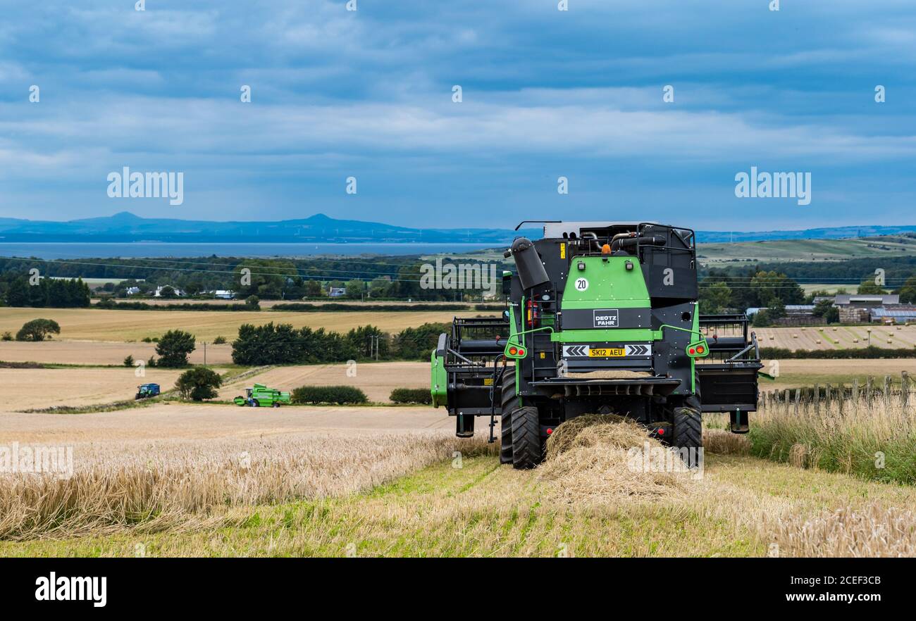 East Lothian, Scozia, Regno Unito, 1 settembre 2020. UK tempo: Raccolta dell'orzo primaverile. Una mietitrebbiatrice Deutz Fahr raccoglie un campo di grano di orzo con il cielo che comincia a scurirsi prima delle precipitazioni Foto Stock