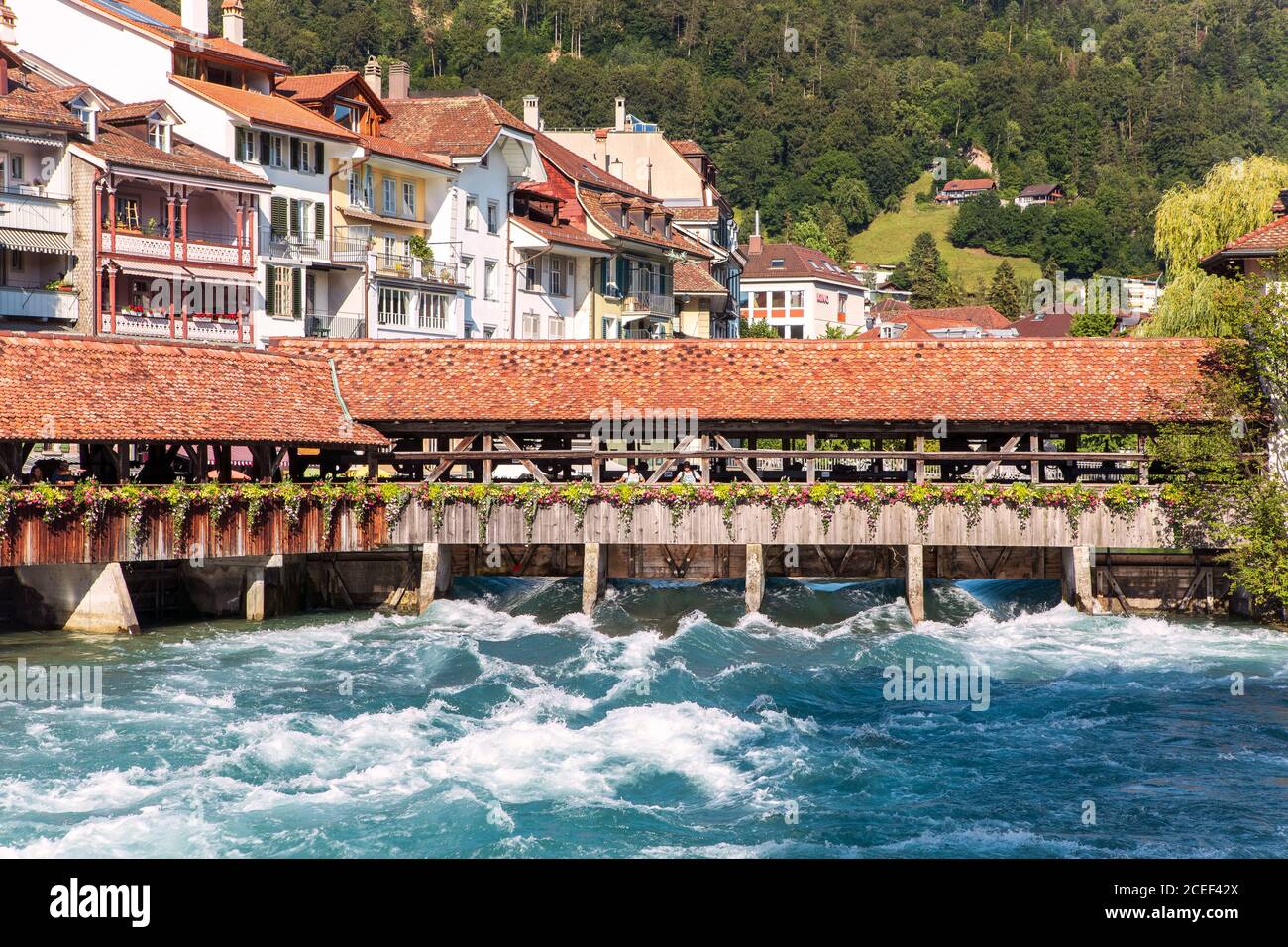 Antico ponte storico in legno a Thun sul fiume Aare, acque turchesi, paesaggio urbano della città alpina. Svizzera Foto Stock