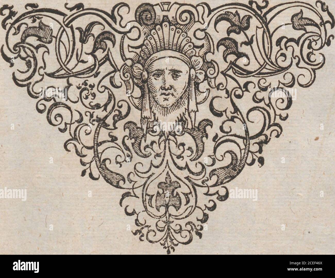 . Admiranda narratio, fida tamen, de amalloggio et incolarvm ritibvs Virginiae ... Anglicico Scripta sermone à Thoma Hariot ... nvnc avtem primvm Latio donata à C.C.C.C.A. O R V M Femina: Eodem quo Viri modo funt amida:, pr^tcr-quam quod earum veftis ante pedus fuperiore parte aperta, ligu-laaliqua adftringebatur,quemadmodumnoftrates femin^Einte-rioremveftemdauderefolent: Vberatine-bliberefamen. Similia viris arma geftabant, nec minus in belloferoces t. / I Foto Stock