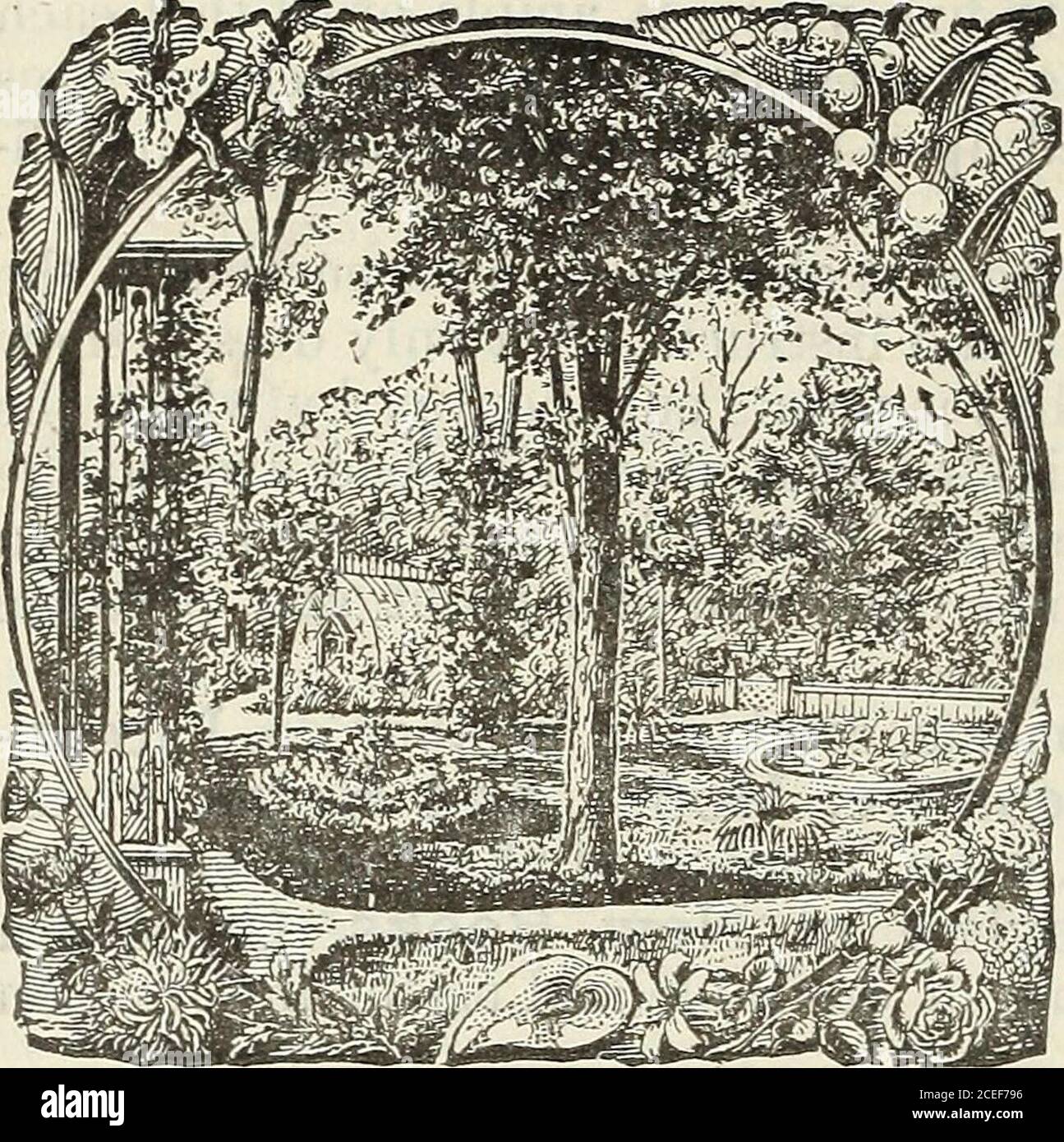 . John Saul's Washington vivs catalogo di piante per la primavera del 1888. hat è pubblicato, thev può risparmiare tra s3.00 e 4.00 dollari all'anno iscrivendosi a DEMORESTS MENSILE, che è riconosciuto come il miglior Familv Magazine al mondo. Molti sup-pose DEMORESTS MENSILE per essere un Fashion Magazine. Questo è un errore piacevole. Senza dubbio contiene il reparto di moda più fine di anyMagazine pubblicato, ma questo è il caso dal fatto che grande impresa e esperienza sono mostrati, in modo che ogni reparto è uguale a una rivista in sé. Iscrivendosi a Bysubscriping per i Demoorest si ottiene davvero una dozzina Foto Stock