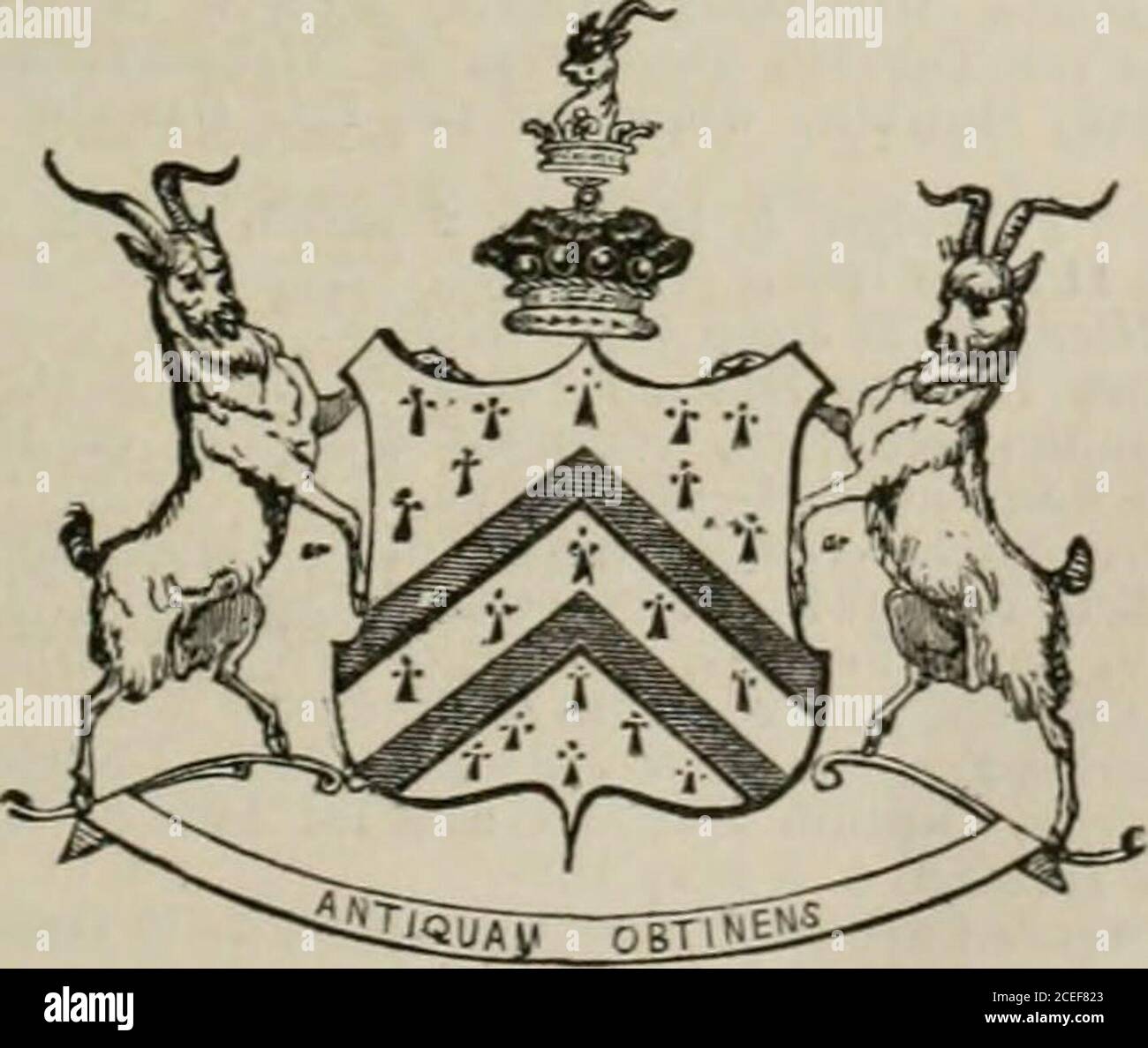 . Il peerage dell'impero britannico come attualmente esistente: Organizzato e stampato dalle comunicazioni personali della nobiltà. ue di questo matrimonio sono: 1 Matteo, presente e quinto Signore. 2 Hon. Henry, h. 14 maggio 1776, d. Giugno 1798. 3*Lon. Ammiraglio posteriore Frederick-William, R.N., C. R. e KNT. Coniman- »derofthe ordine siciliano di San Ferdinando e Merit, b. 12 Ott, 1777.4 on. Rose-Whitworth, n. 5 ottobre 1779, d. nel 1800.5, on. James-Thomas, n. 1785, morì nel 1812. Giovanni Aylmer, 4° figlio di Enrico, 2° Signore, d.. 16 febbraio 1793.lasciando un figlio, Giovanni, un Ammiraglio intheR. N.,rf. 19 aprile Foto Stock