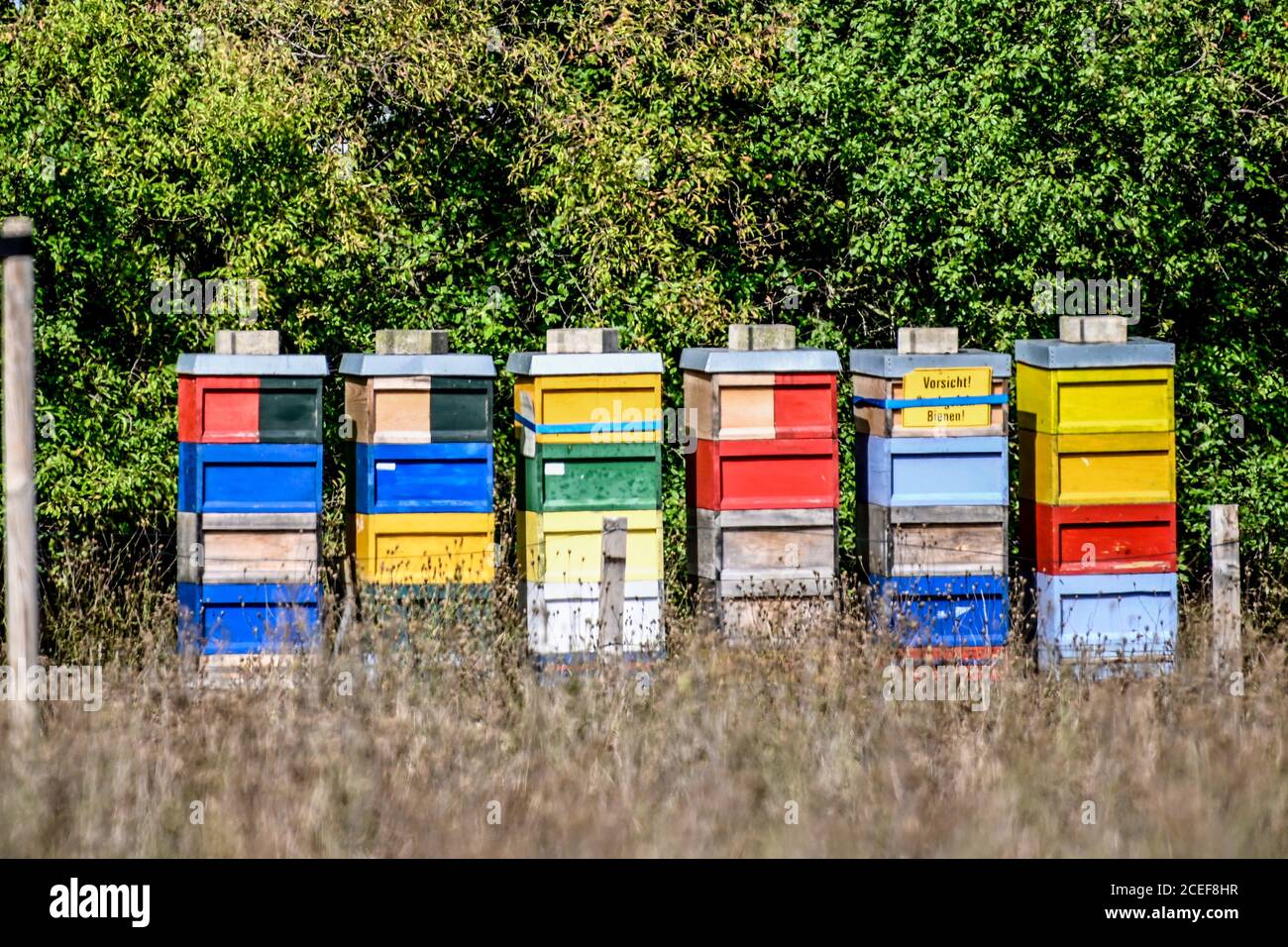 Alveari di legno. Apicoltura. Foto Stock