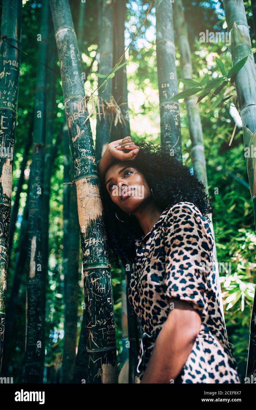 Bella Donna in una bella foresta di bambù godendo il momento Foto Stock