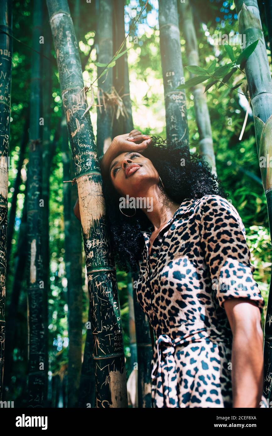 Bella Donna in una bella foresta di bambù godendo il momento Foto Stock