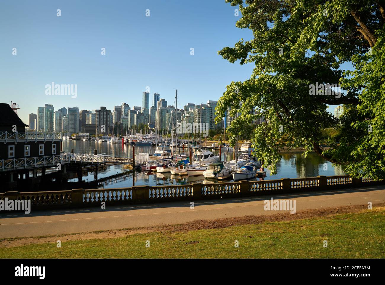 Passeggiata a Coal Harbour Vancouver. Lo skyline di Vancouver dalla costa di Stanley Park attraverso Coal Harbour. British Columbia, Canada. Foto Stock