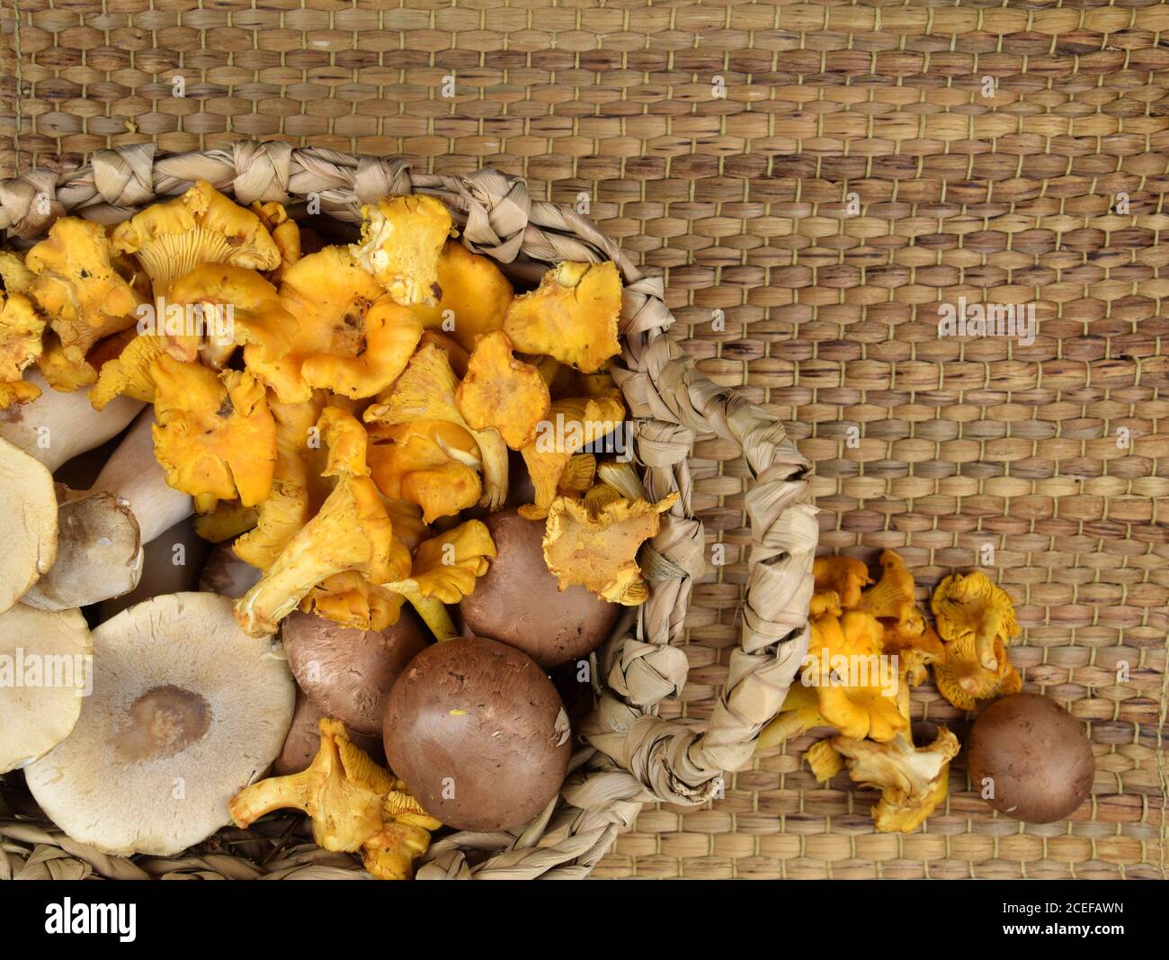 variopinto mix di funghi freschi Foto Stock