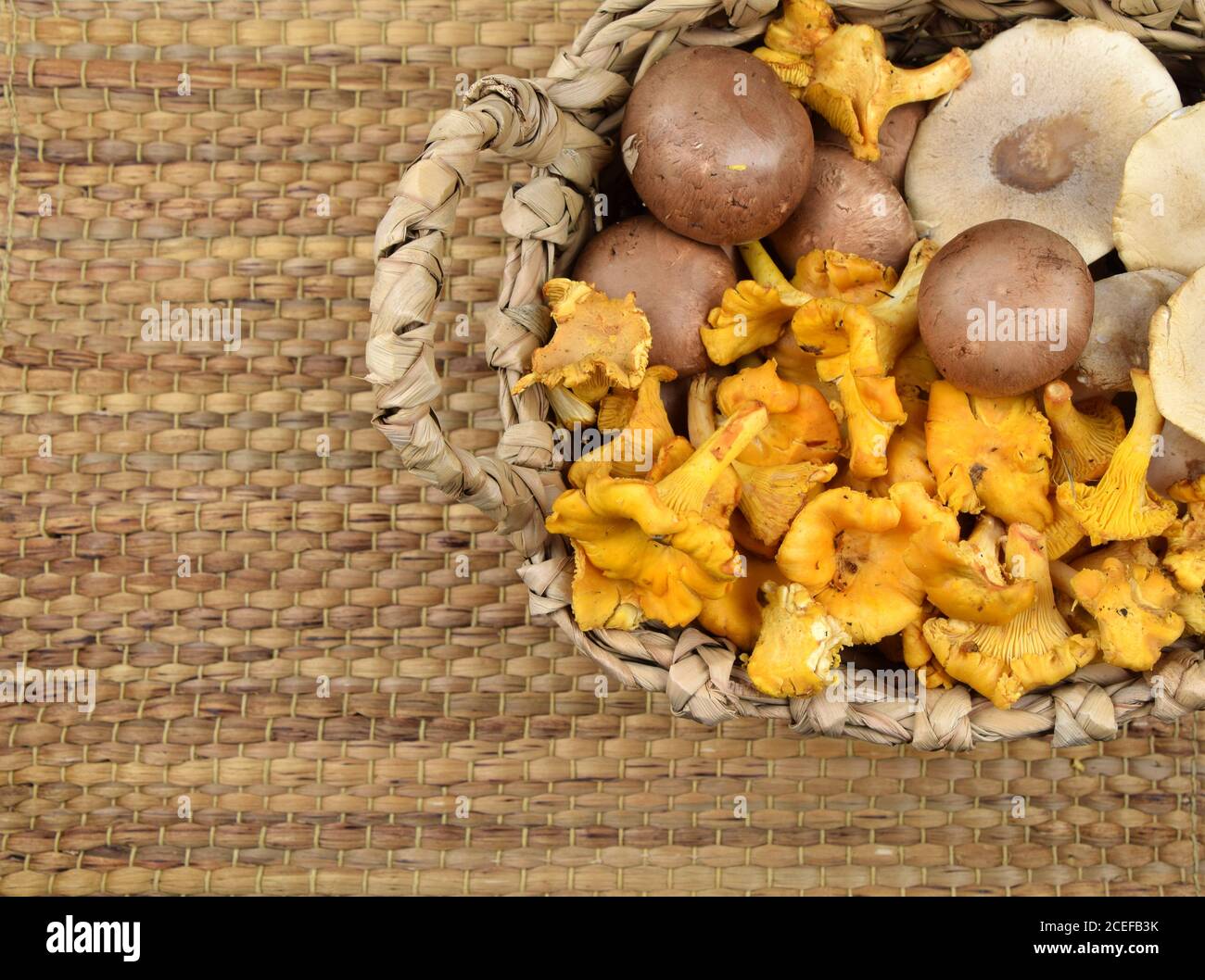 variopinto mix di funghi freschi Foto Stock