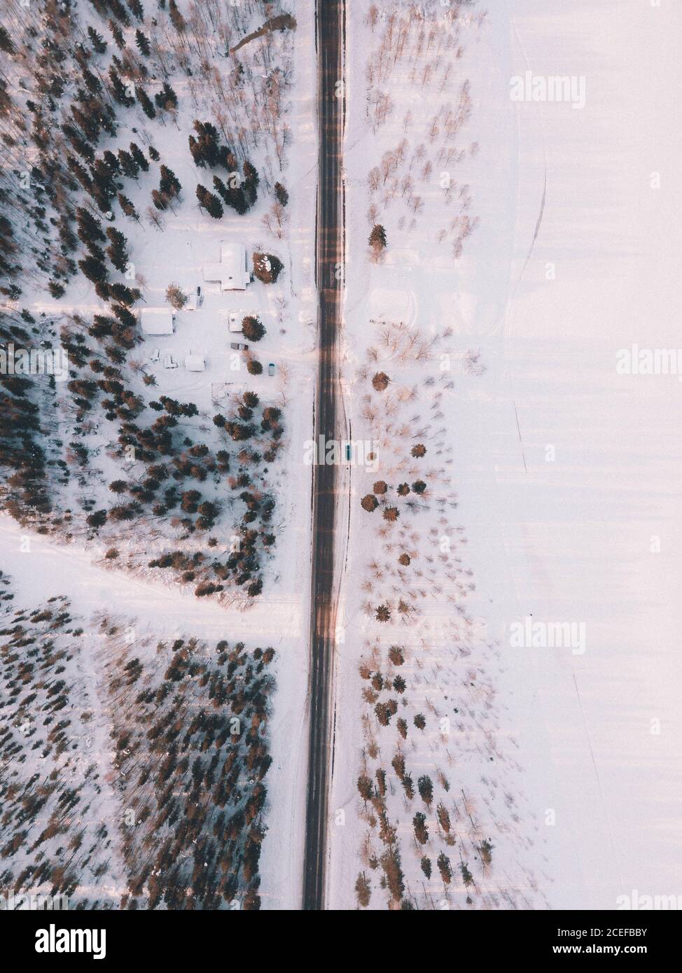 Vista del drone dall'alto della strada remota che corre dritta alberi e campi innevati Foto Stock