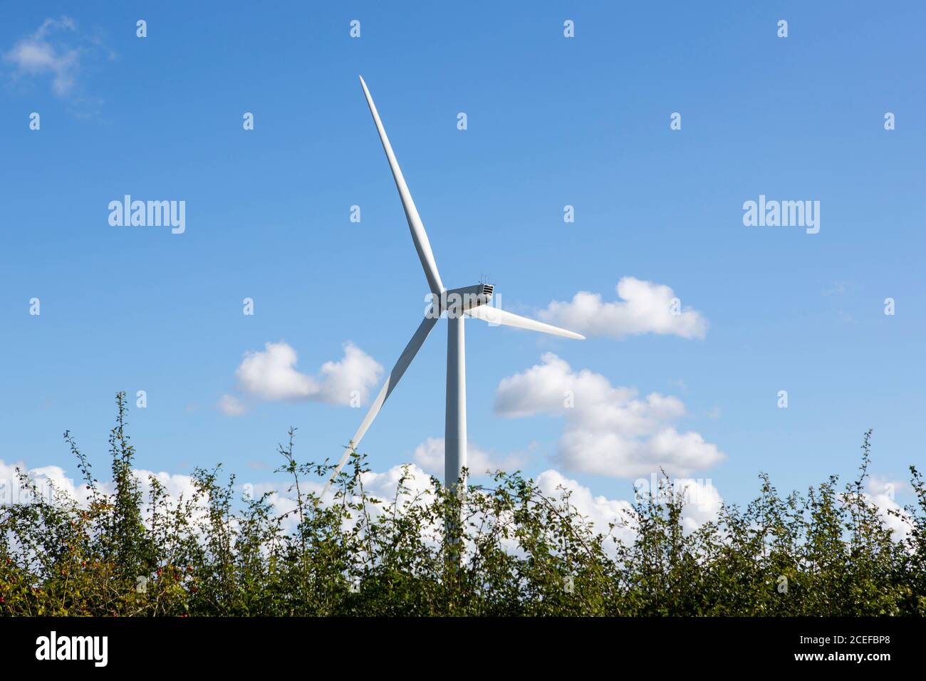 Aerogeneratore contro il cielo blu nuvoloso Foto Stock