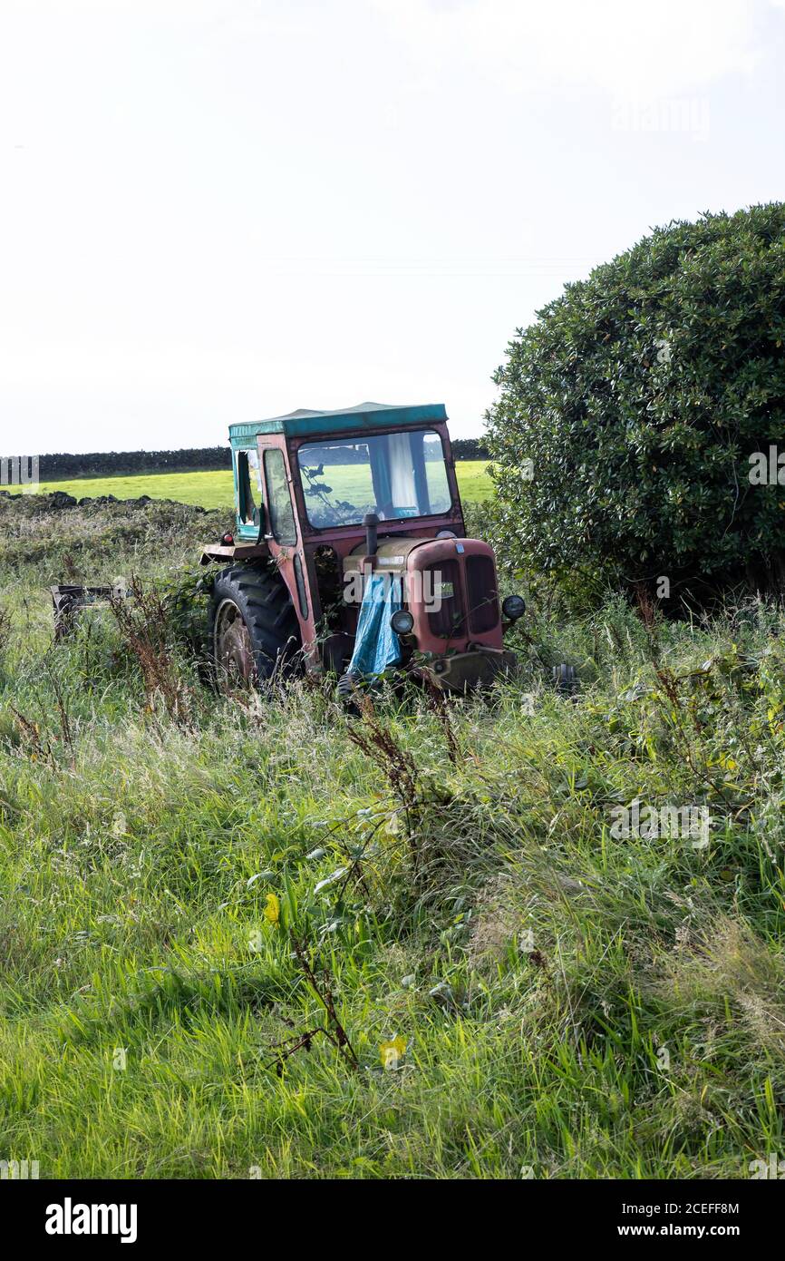 Vecchio trattore diesel Nuffield 10/60 abbandonato di cui produzione È stato interrotto nel 1967 in un campo in crescita in Occidente Yorkshire Foto Stock