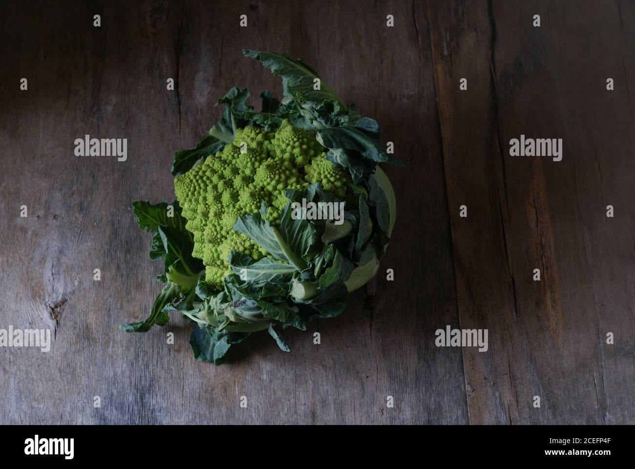Mani che tengono fresco romanesco broccoli Foto Stock