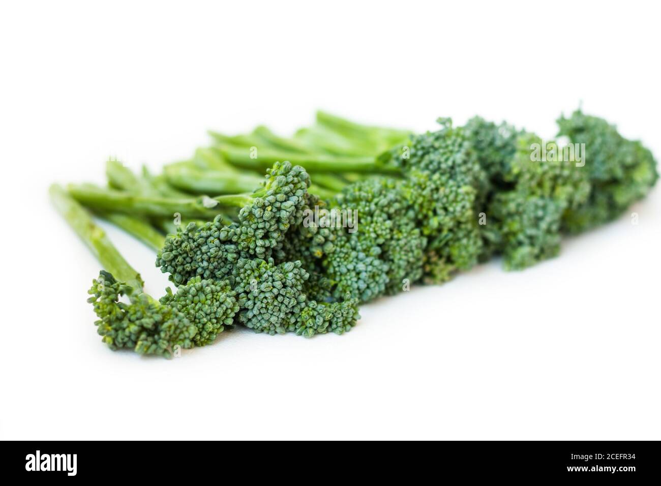 Broccolini freschi isolati su sfondo bianco con spazio per la copia Foto Stock