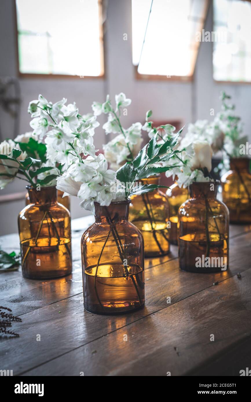 Set di luce fiore rami retrò in vasi di vetro con acqua sul tavolo di legno in camera Foto Stock